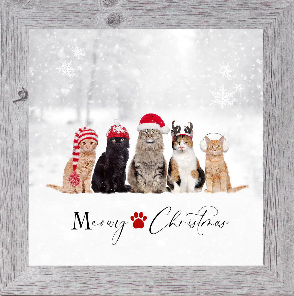 We Wish You a Meowy Christmas – Funny Cat Holiday Wall Art by