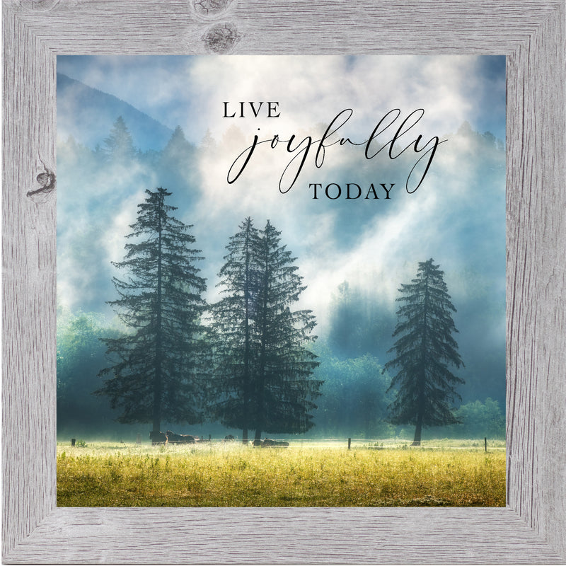 Live Joyfully Today by Summer Snow SN125