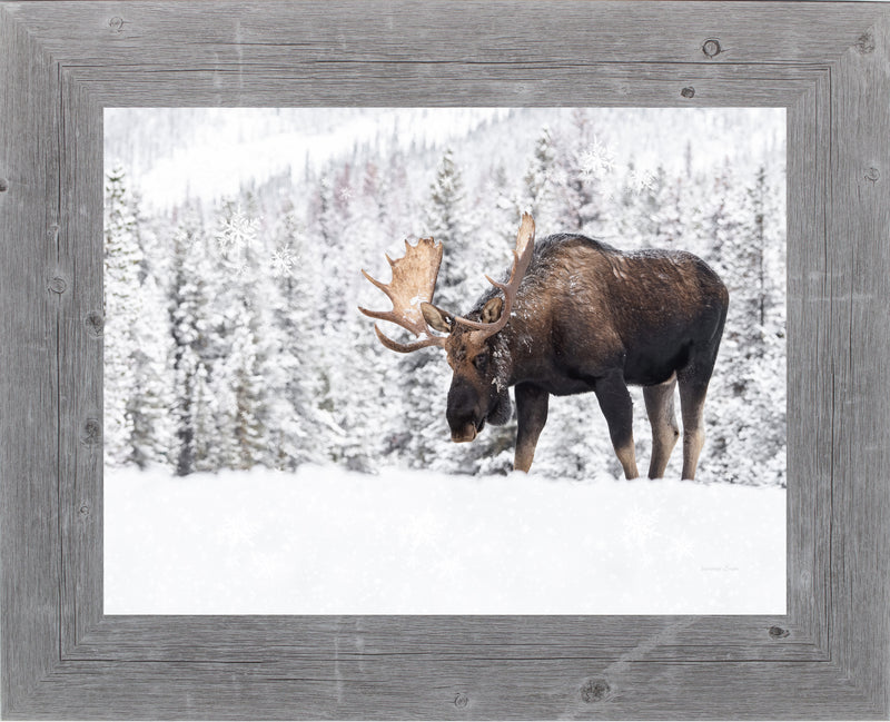 Winter Moose by Summer Snow SA411