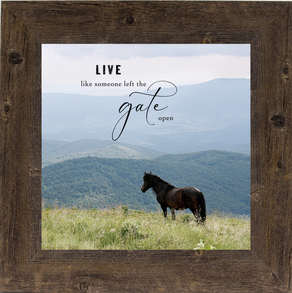 Live Like Someone Left the Gate Open SW64