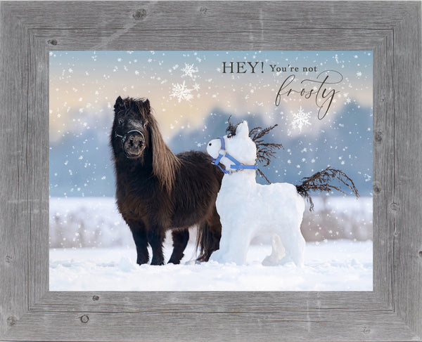 Hey! You're not Frosty by Summer Snow SN333