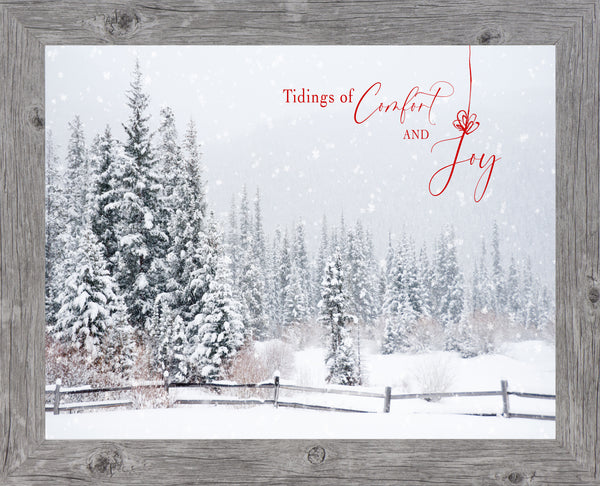 Tidings of Comfort and Joy by Summer Snow SN336