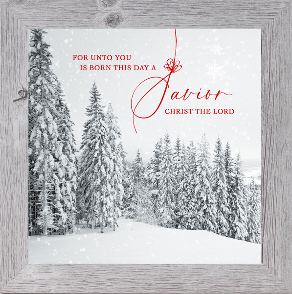 A Savior by Summer Snow SN51