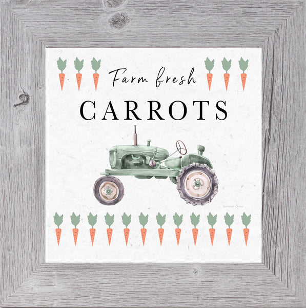 Farm Fresh Carrots by Summer Snow SS919