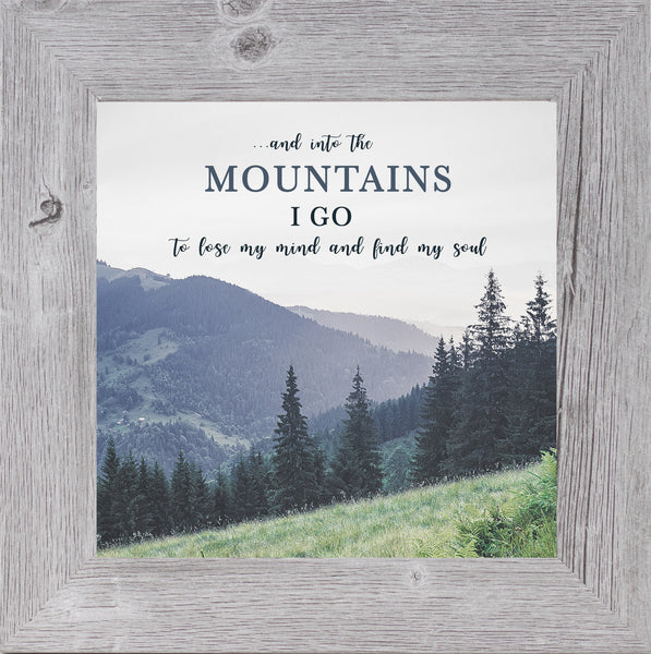 And Into the Mountains GLITTERED ONLY SS931