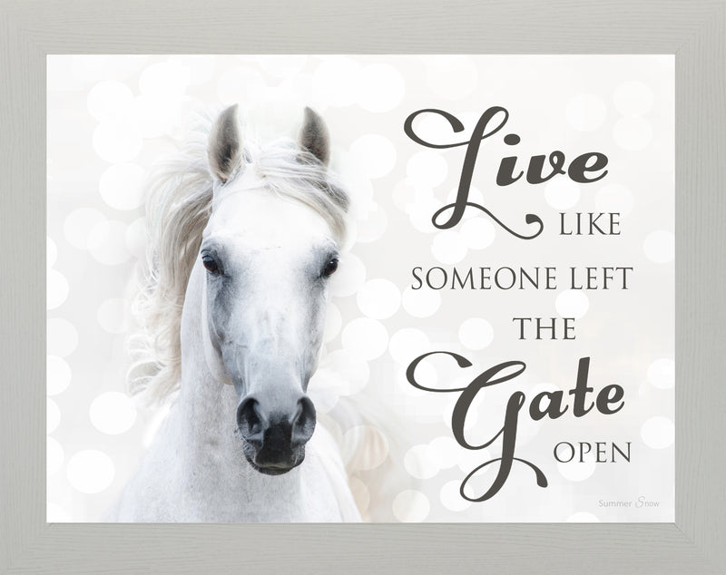 Live Like Someone Left the Gate Open white horse SSW9819 - Summer Snow Art