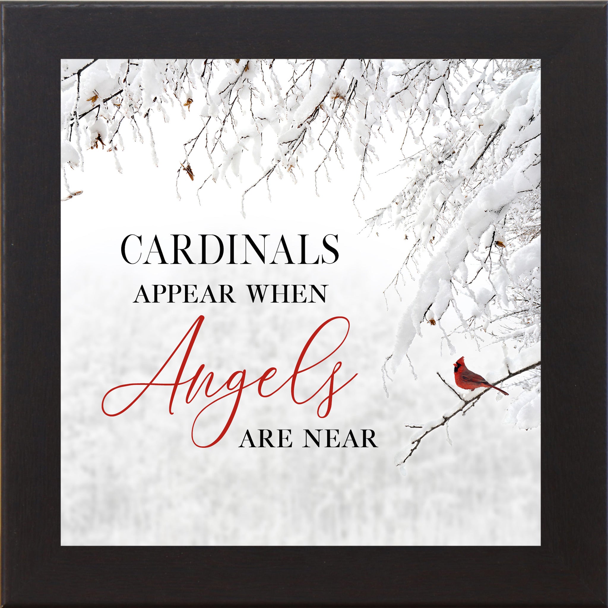 Black framed square cardinal sympathy wall art featuring a red cardinal perched on snow-covered winter branches with the words "Cardinals Appear When Angels Are Near" — SS856