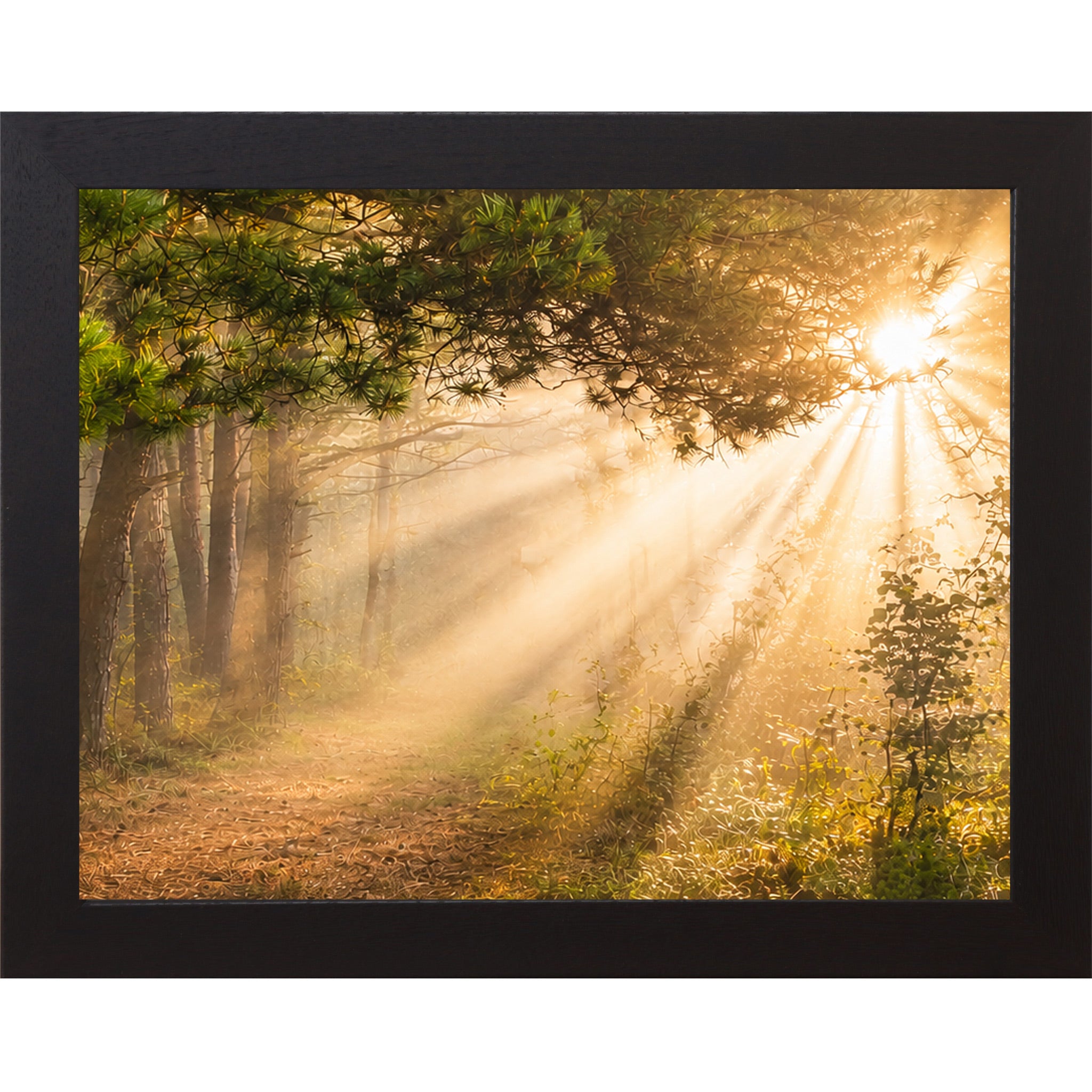Black framed horizontal nature wall art featuring dramatic golden sunlight rays bursting through misty pine tree canopy over a quiet forest path in warm sacred morning light