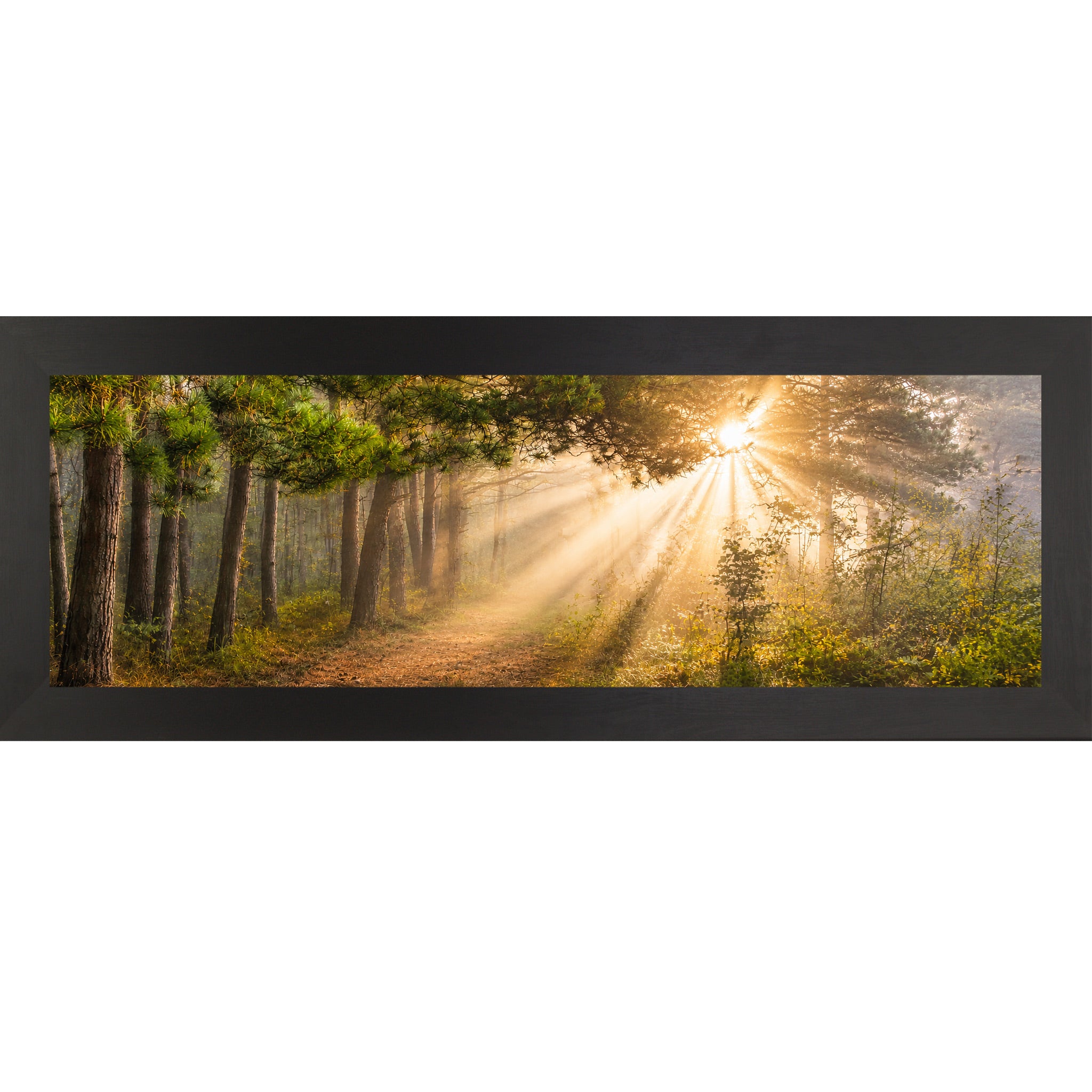 Black framed wide panoramic nature wall art featuring dramatic golden sunlight rays bursting through misty pine tree canopy across a forest path in warm sacred morning light