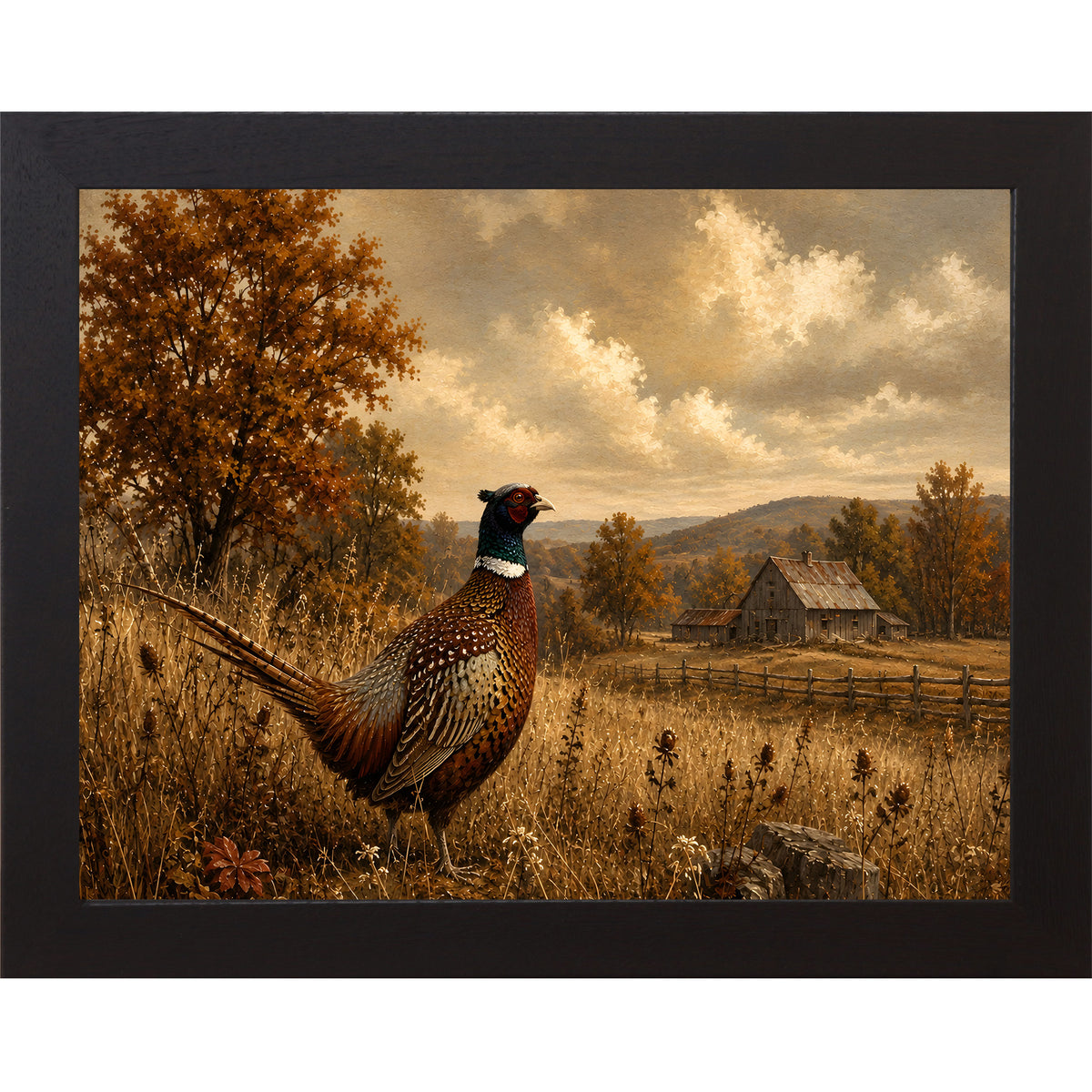 Black framed landscape vintage sporting wall art featuring a ring-necked pheasant standing in a golden autumn field with a barn in the distance