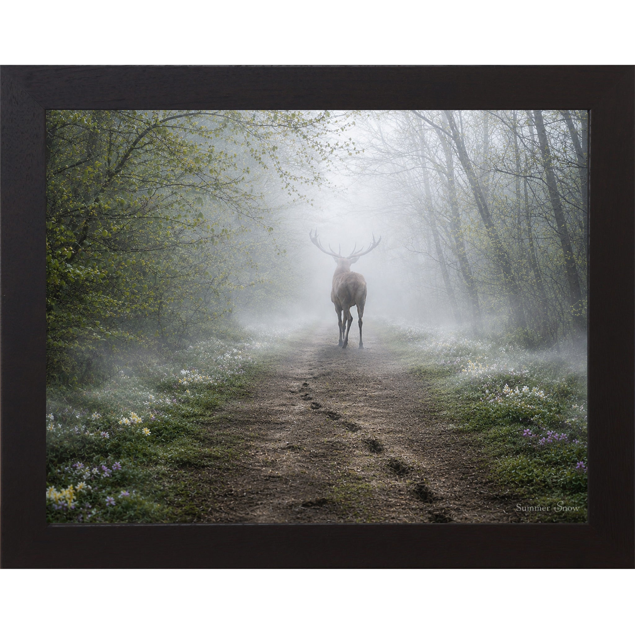 Black framed horizontal nature wall art featuring a deer silhouette dissolving into heavy morning mist on a spring forest path with wildflowers and hoofprints in the soft earth