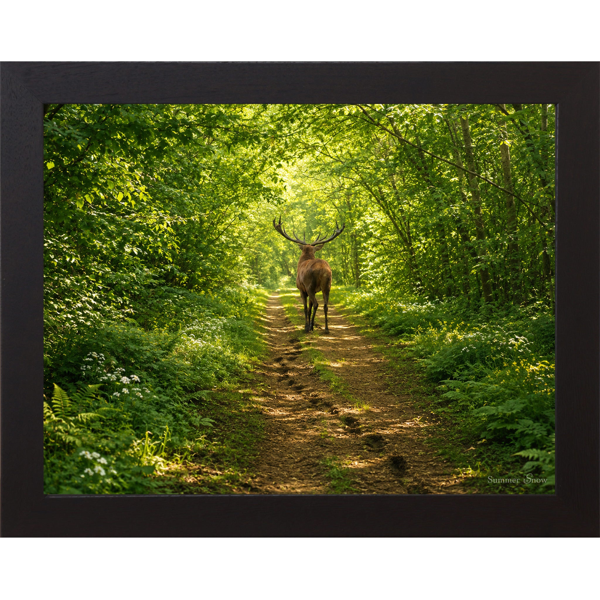 Black framed horizontal nature wall art featuring a deer walking away down a lush summer forest path with full green cathedral canopy dappled golden light and ferns
