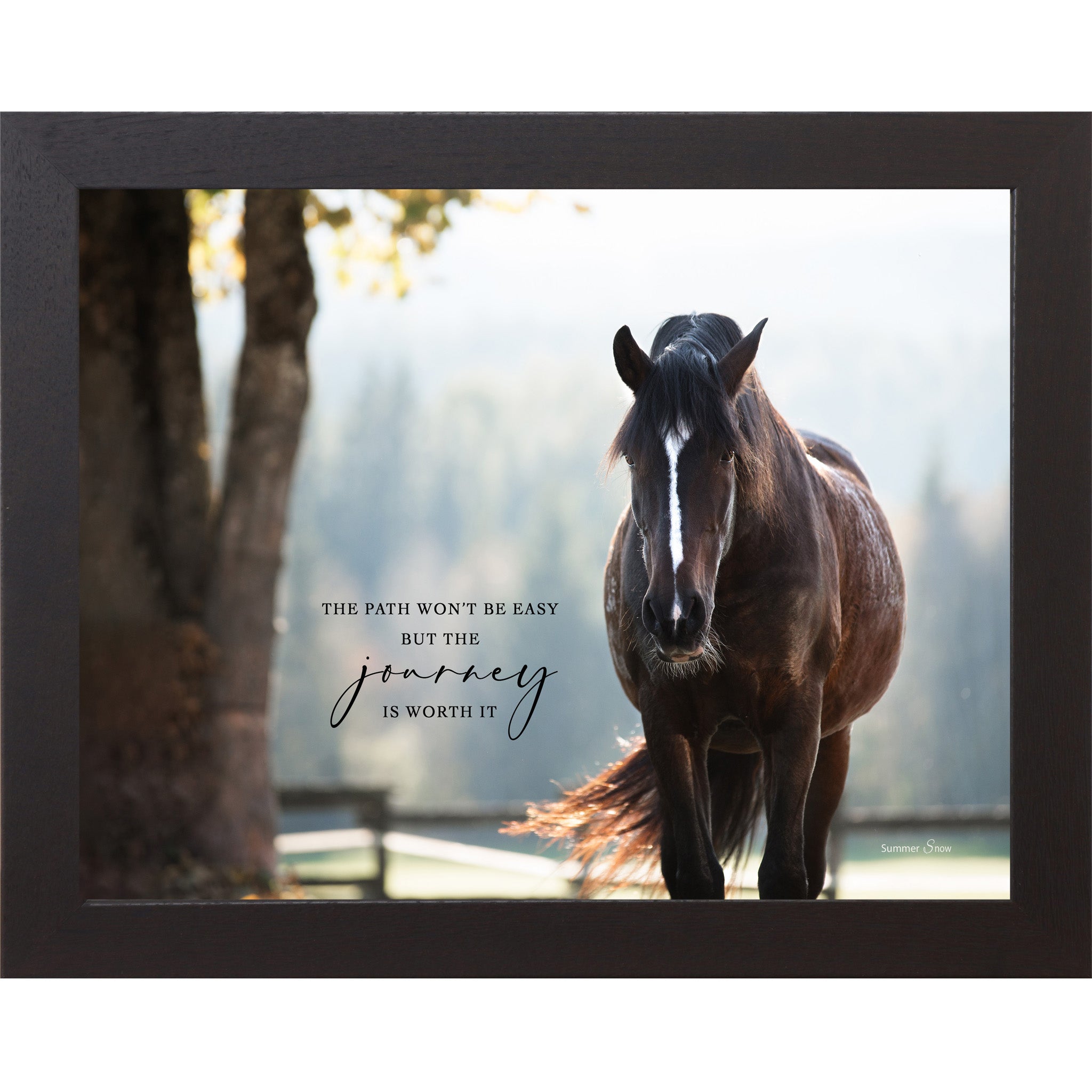 Black framed landscape equine wall art with realistic dark bay horse in dappled sunlight with the quote "The Path Won't Be Easy But the Journey Is Worth It"