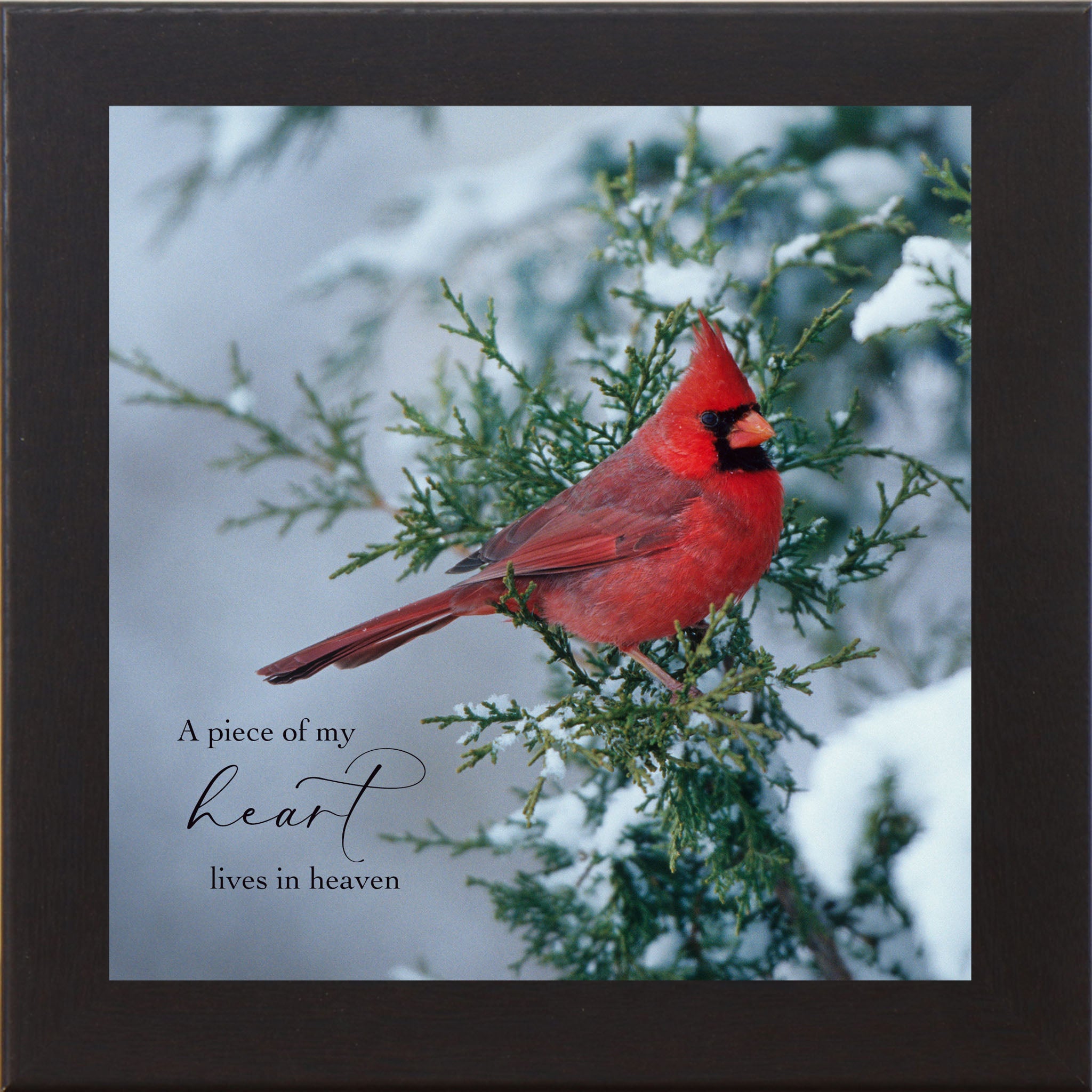 A Piece of My Heart Lives in Heaven – Cardinal Sympathy Framed Wall Art | Winter Remembrance Decor (SA127)