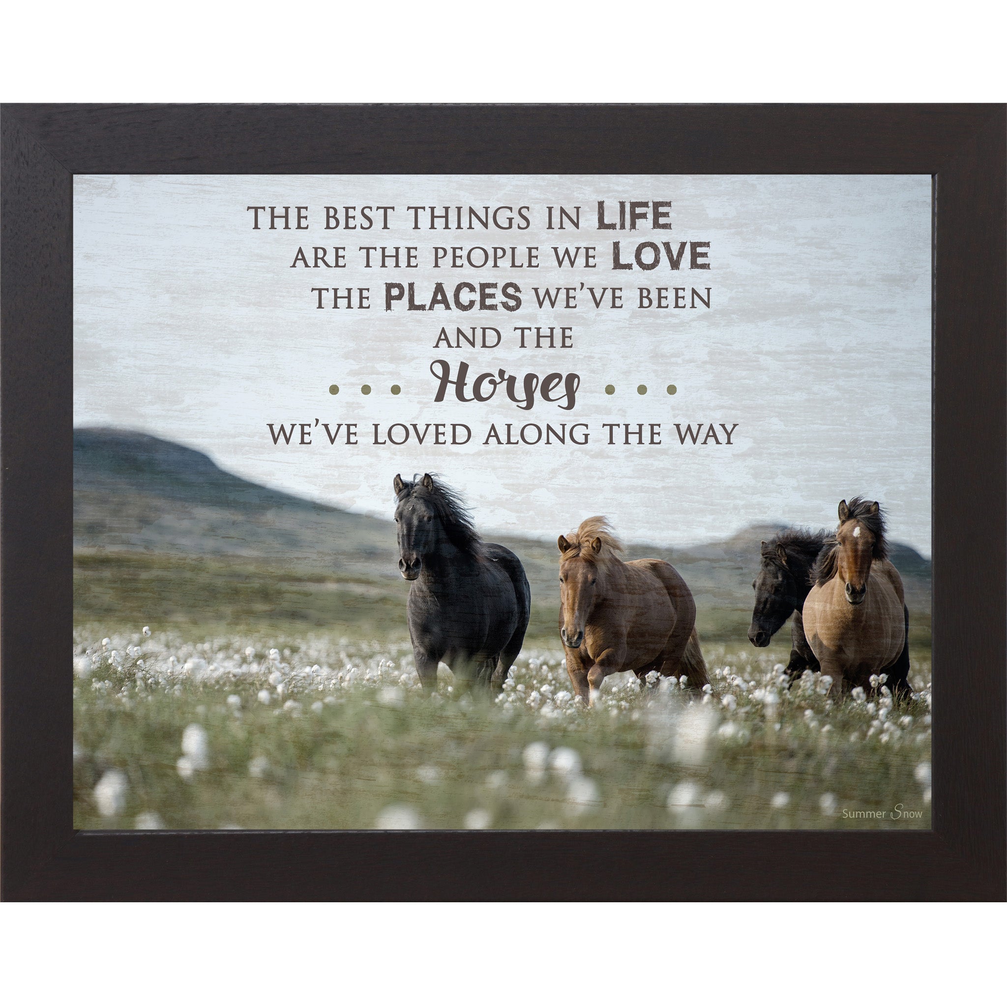 Best Things In Life Equine SSW9814
