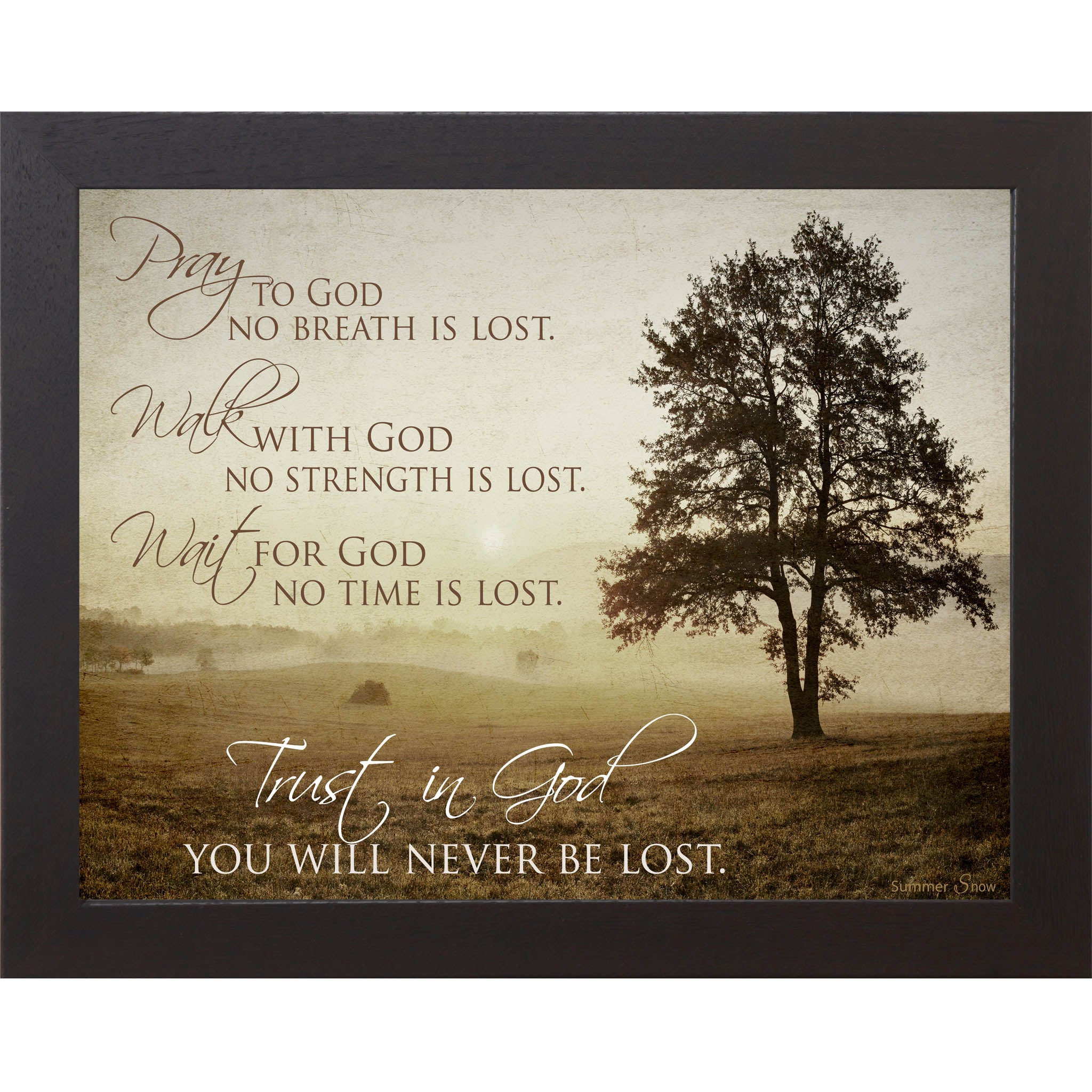 Trust in God – Framed Christian Wall Art with Morning Field & Inspirational Faith Quote (SS9720)