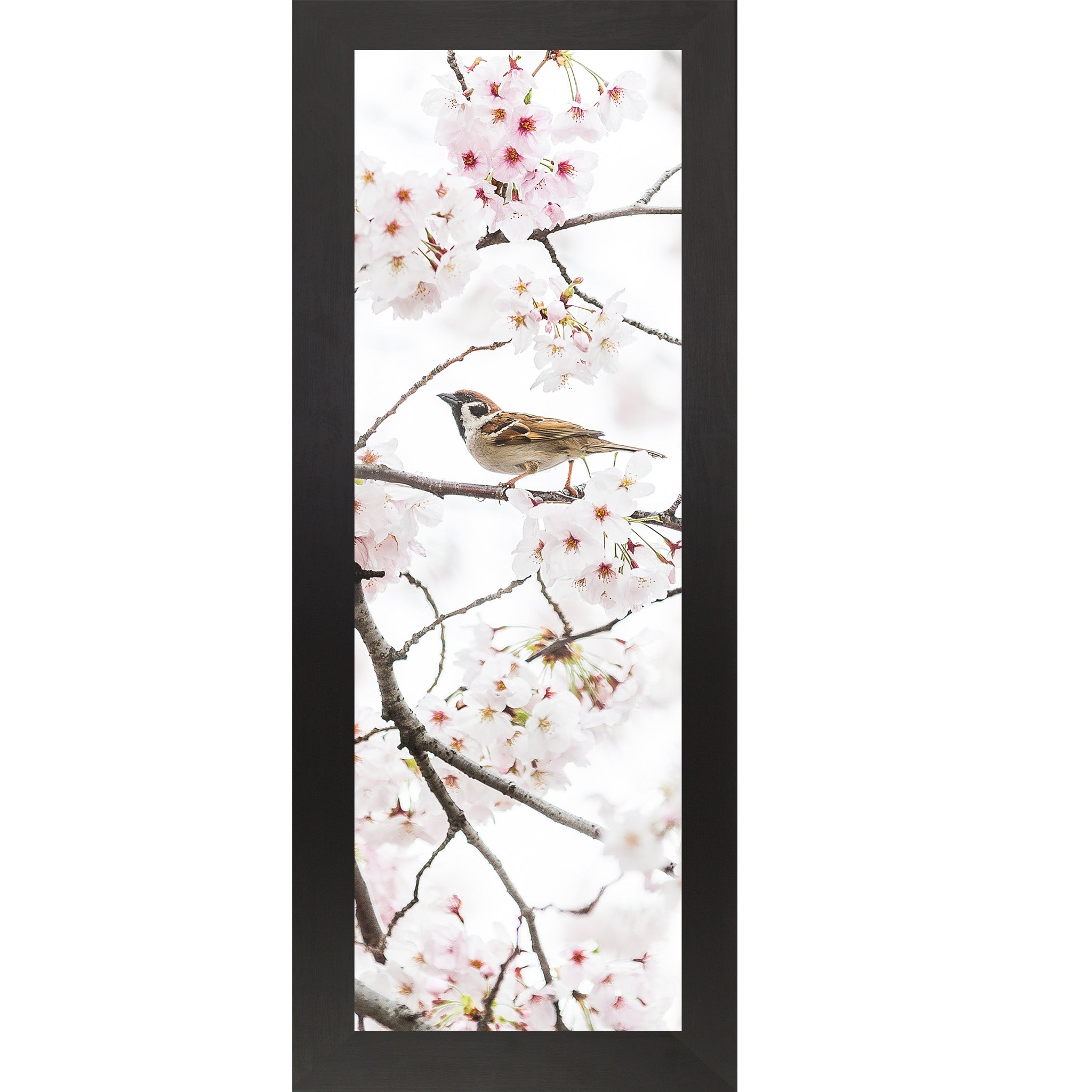 Spring Sparrow in Bloom – Soft Floral Bird Wall Art (SB902) - Summer Snow Art