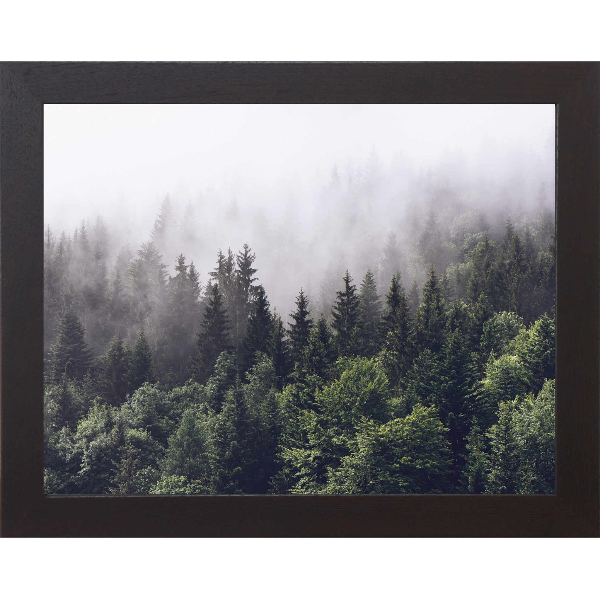 Black framed horizontal nature wall art featuring a dense evergreen pine forest disappearing into rolling mountain fog with deep green canopies fading to pale misty silhouettes