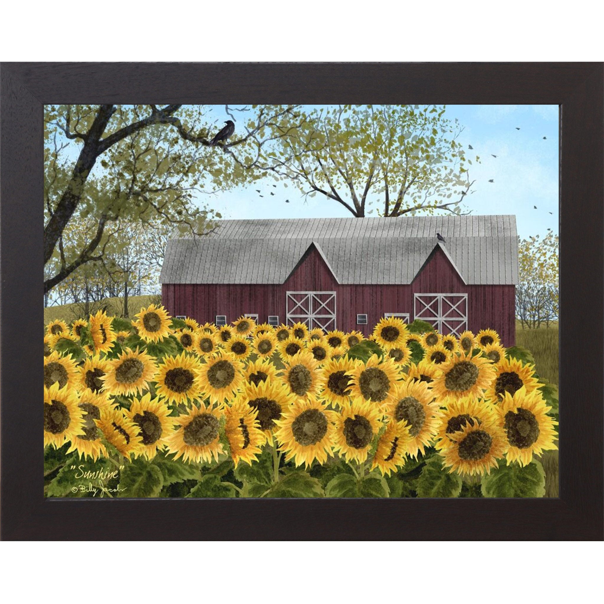 Black framed Billy Jacobs Sunshine wall art featuring a sweeping field of golden sunflowers in full bloom before a classic red barn with white cross doors bare tree branches with a crow and pale blue sky
