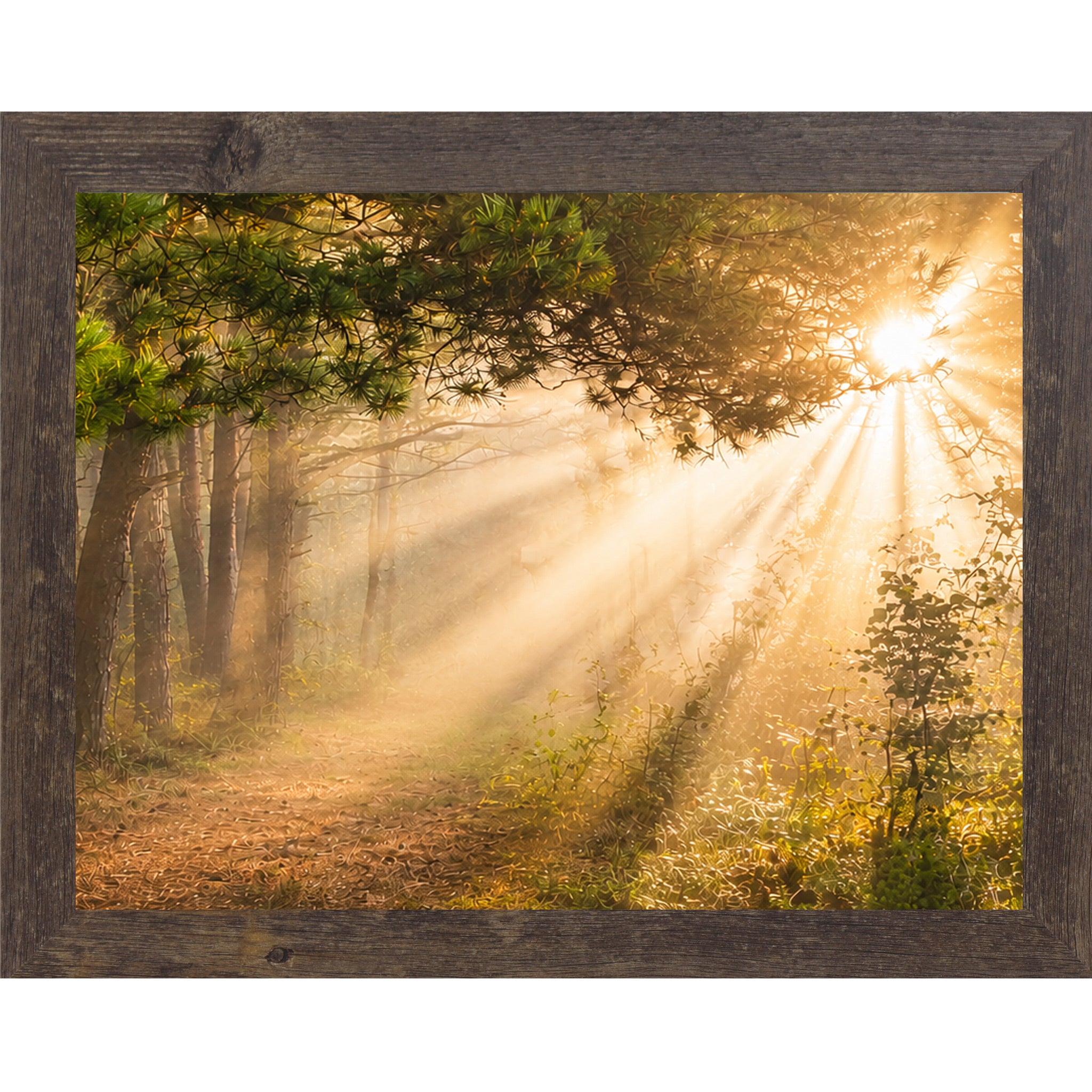 Natural Brown framed horizontal nature wall art featuring dramatic golden sunlight rays bursting through misty pine tree canopy over a quiet forest path in warm sacred morning light