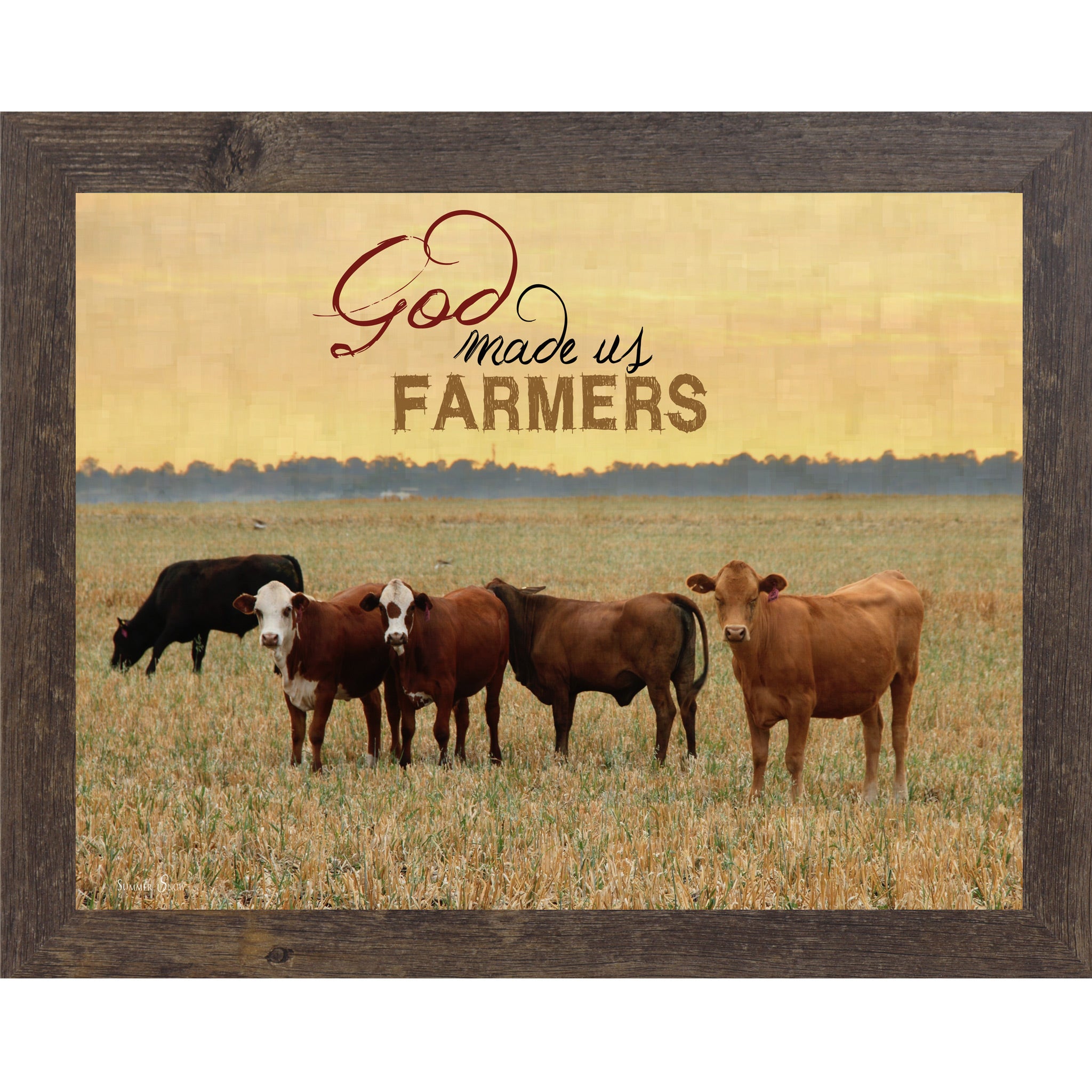 Natural Brown framed horizontal farmhouse landscape wall art with cattle grazing in a golden field at sunset with the words "God Made Us Farmers"