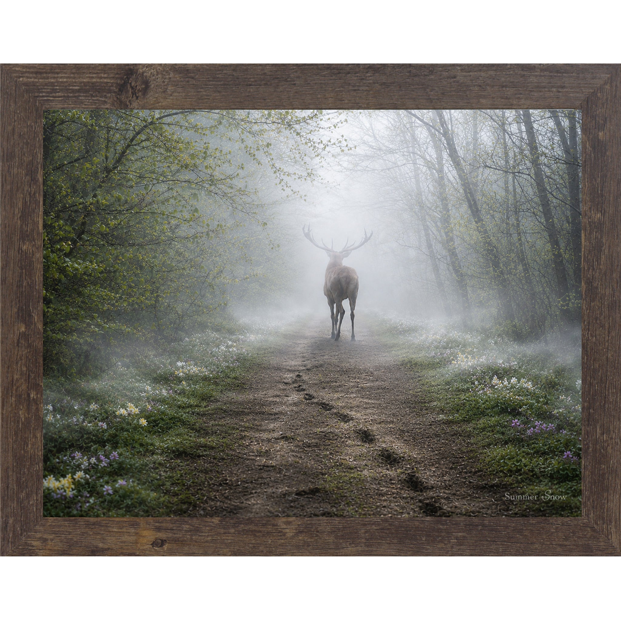 Natural Brown framed horizontal nature wall art featuring a deer silhouette dissolving into heavy morning mist on a spring forest path with wildflowers and hoofprints in the soft earth