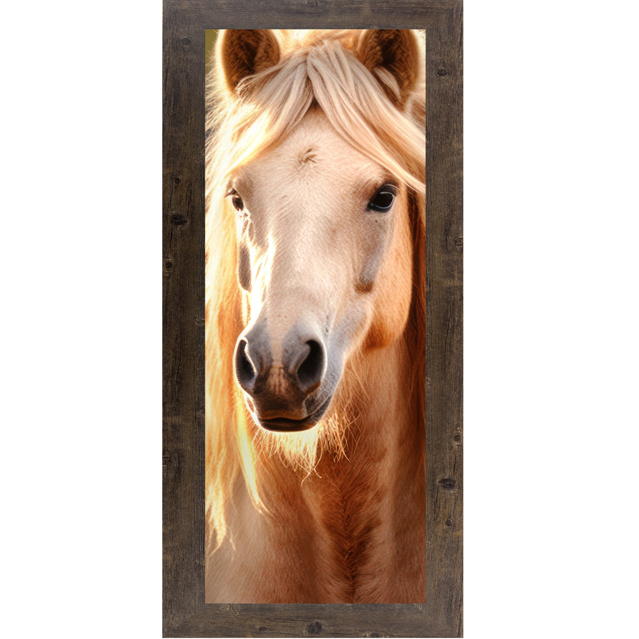 Natural brown framed narrow portrait palomino horse wall art featuring a golden mane palomino horse with direct eye contact, warm backlit glow, and cream mane cascading on both sides