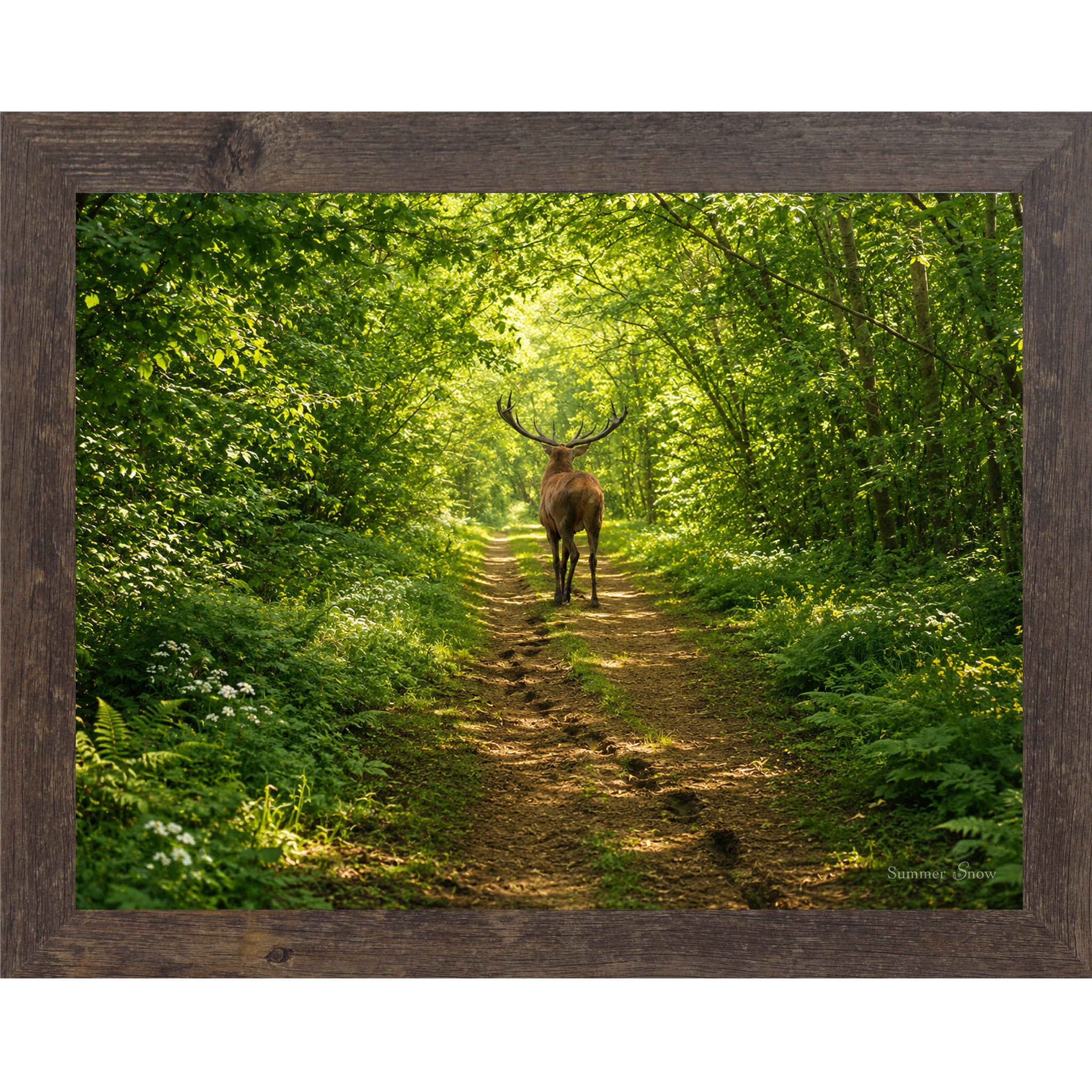Natural Brown framed horizontal nature wall art featuring a deer walking away down a lush summer forest path with full green cathedral canopy dappled golden light and ferns