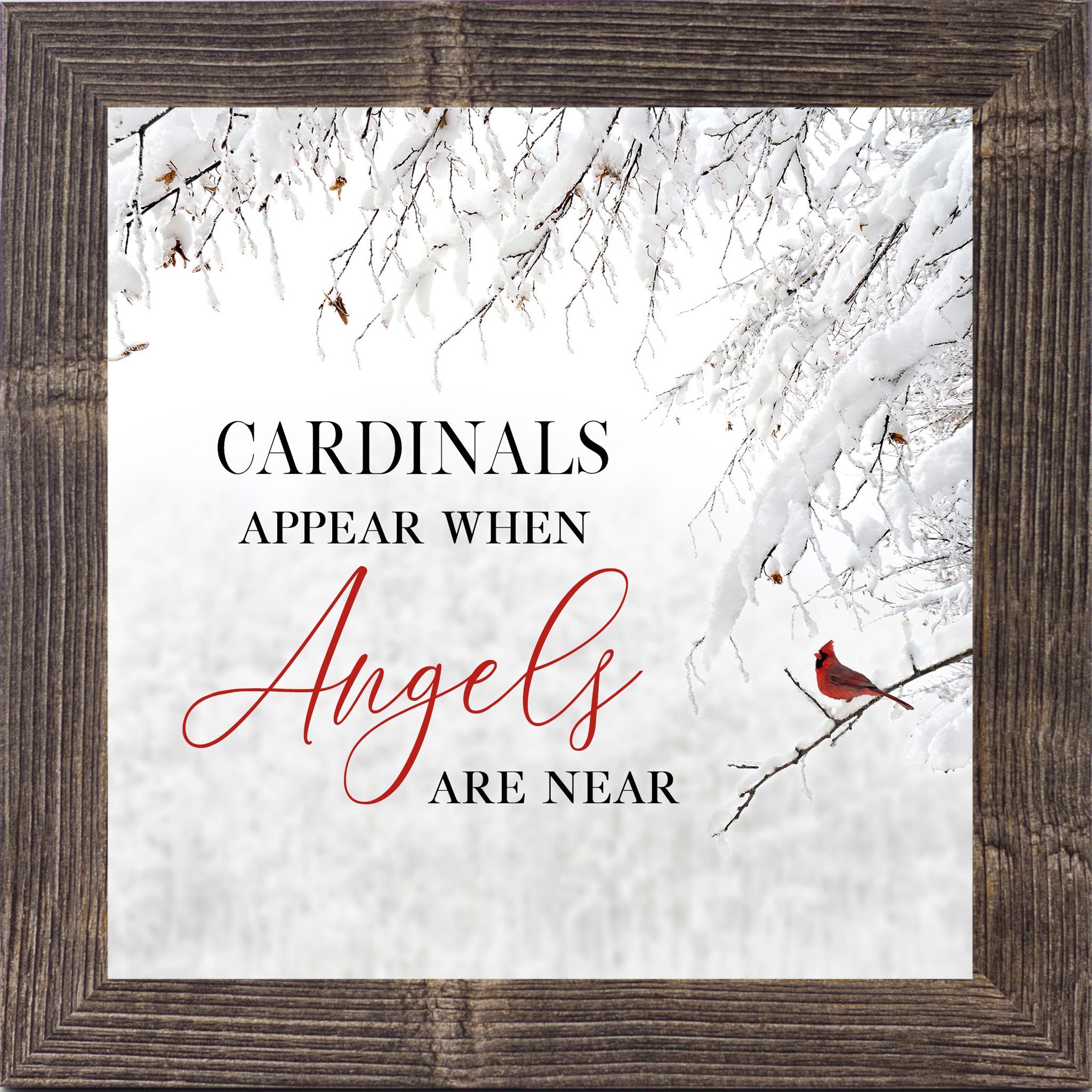 Natural Brown framed square cardinal sympathy wall art featuring a red cardinal perched on snow-covered winter branches with the words "Cardinals Appear When Angels Are Near" — SS856