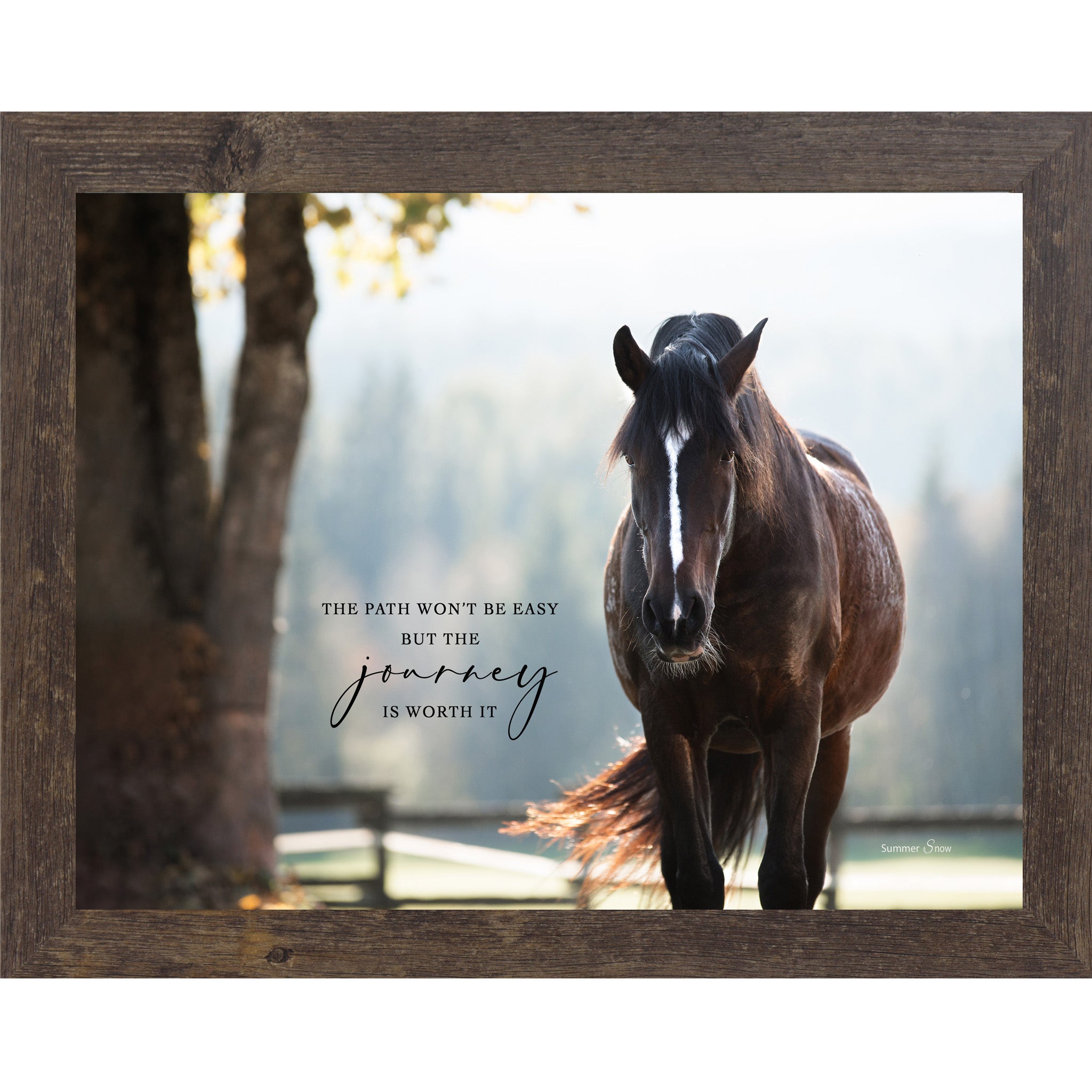 Natural brown framed landscape equine wall art with realistic dark bay horse in dappled sunlight with the quote "The Path Won't Be Easy But the Journey Is Worth It"