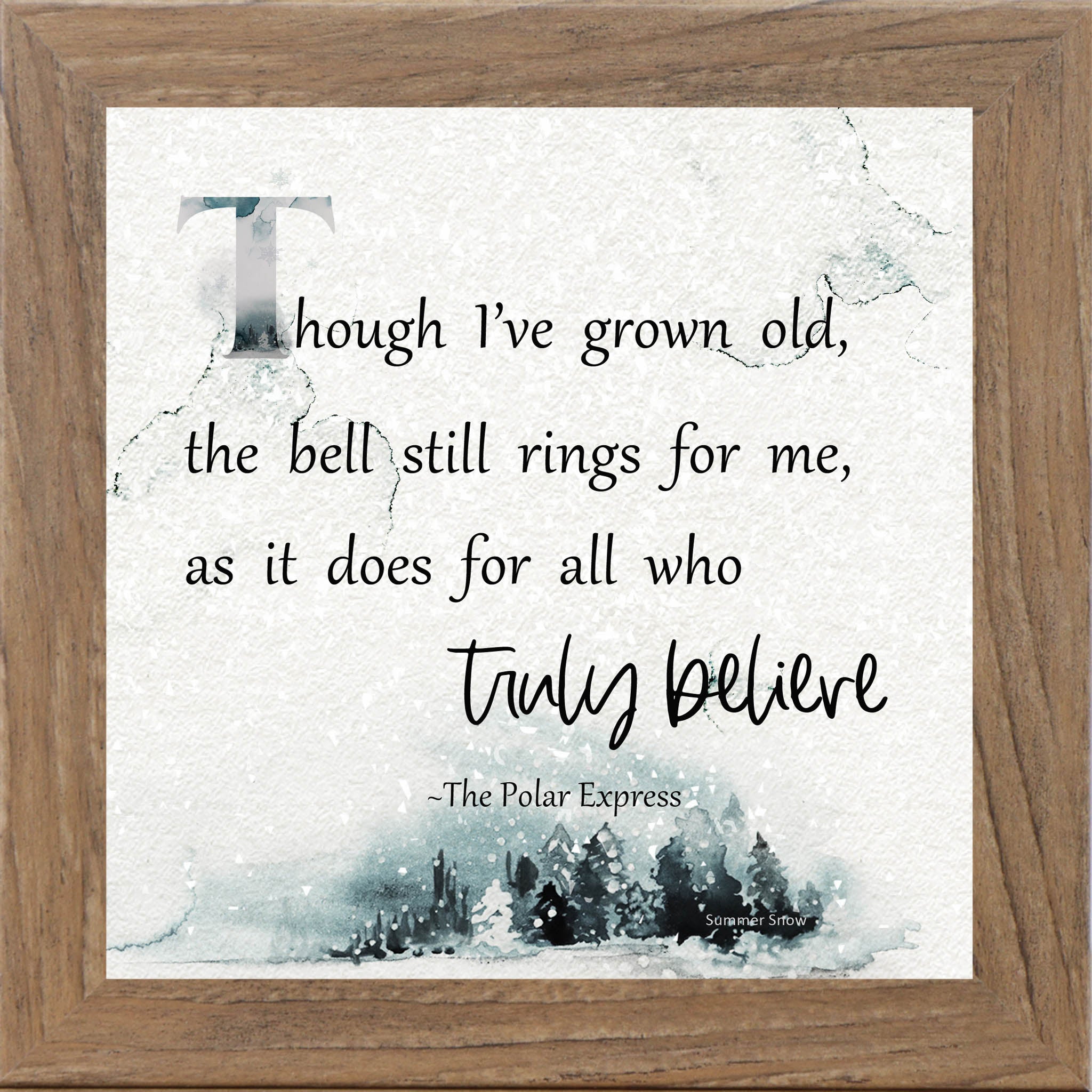 Truly Believe – Polar Express Quote Framed Wall Art | Winter Christmas Decor | SS882 - Summer Snow Art