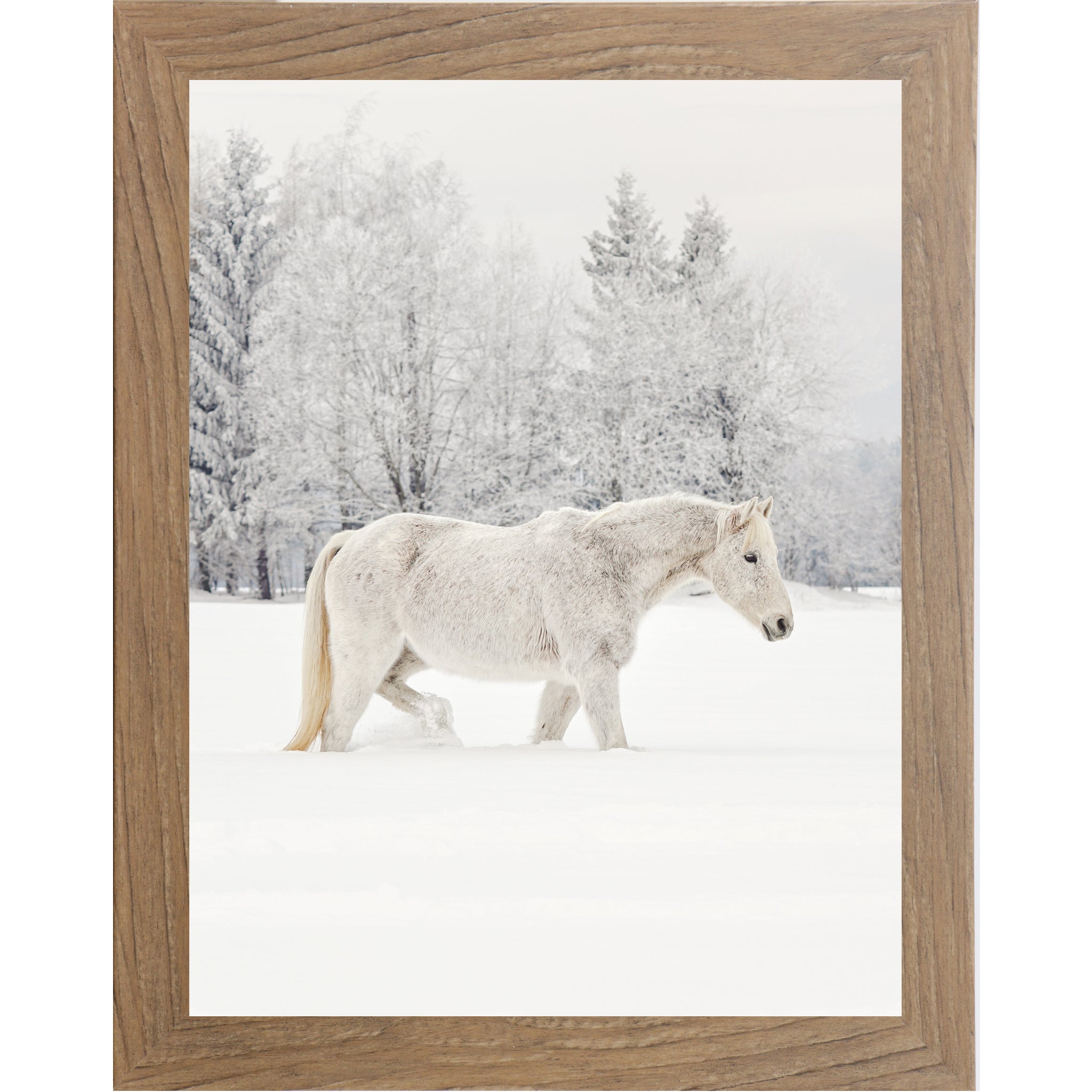 White Horse in Snow Wall Art – Winter Equine Photography | ZS100