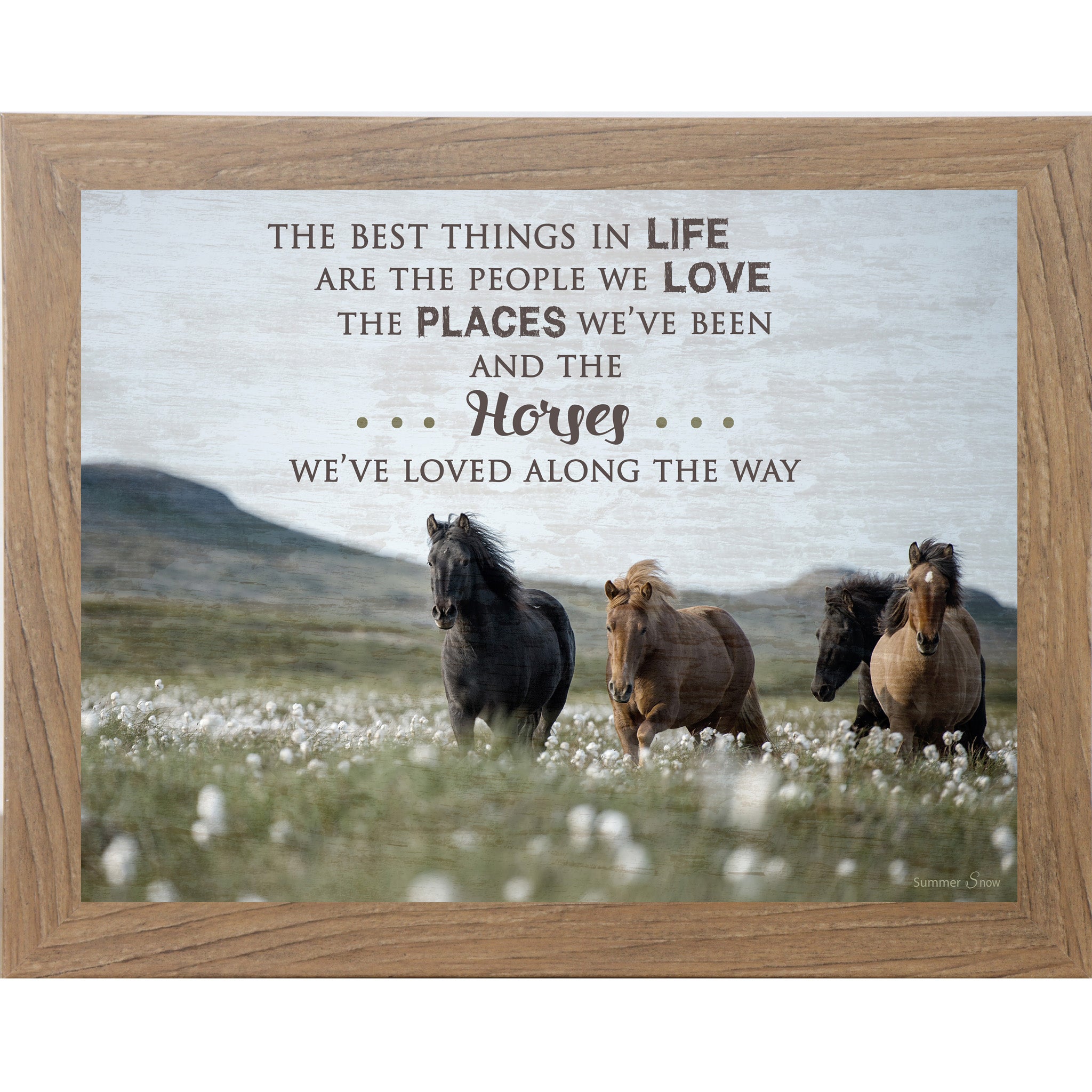 Best Things In Life Equine SSW9814