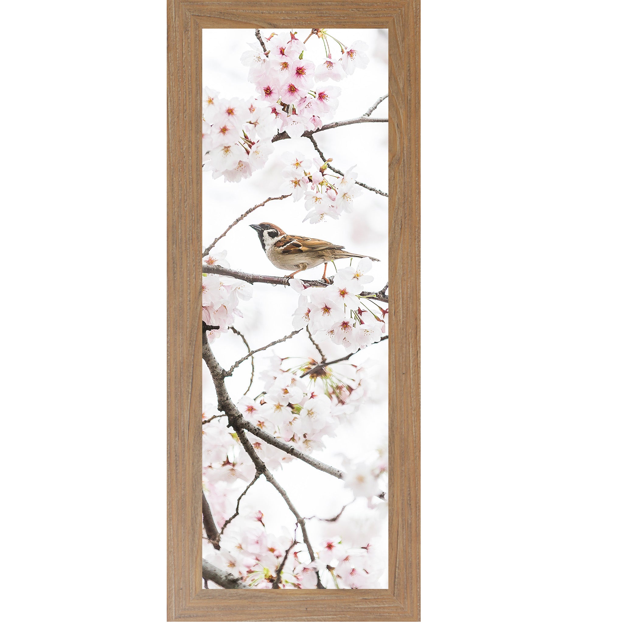 Spring Sparrow in Bloom – Soft Floral Bird Wall Art (SB902) - Summer Snow Art