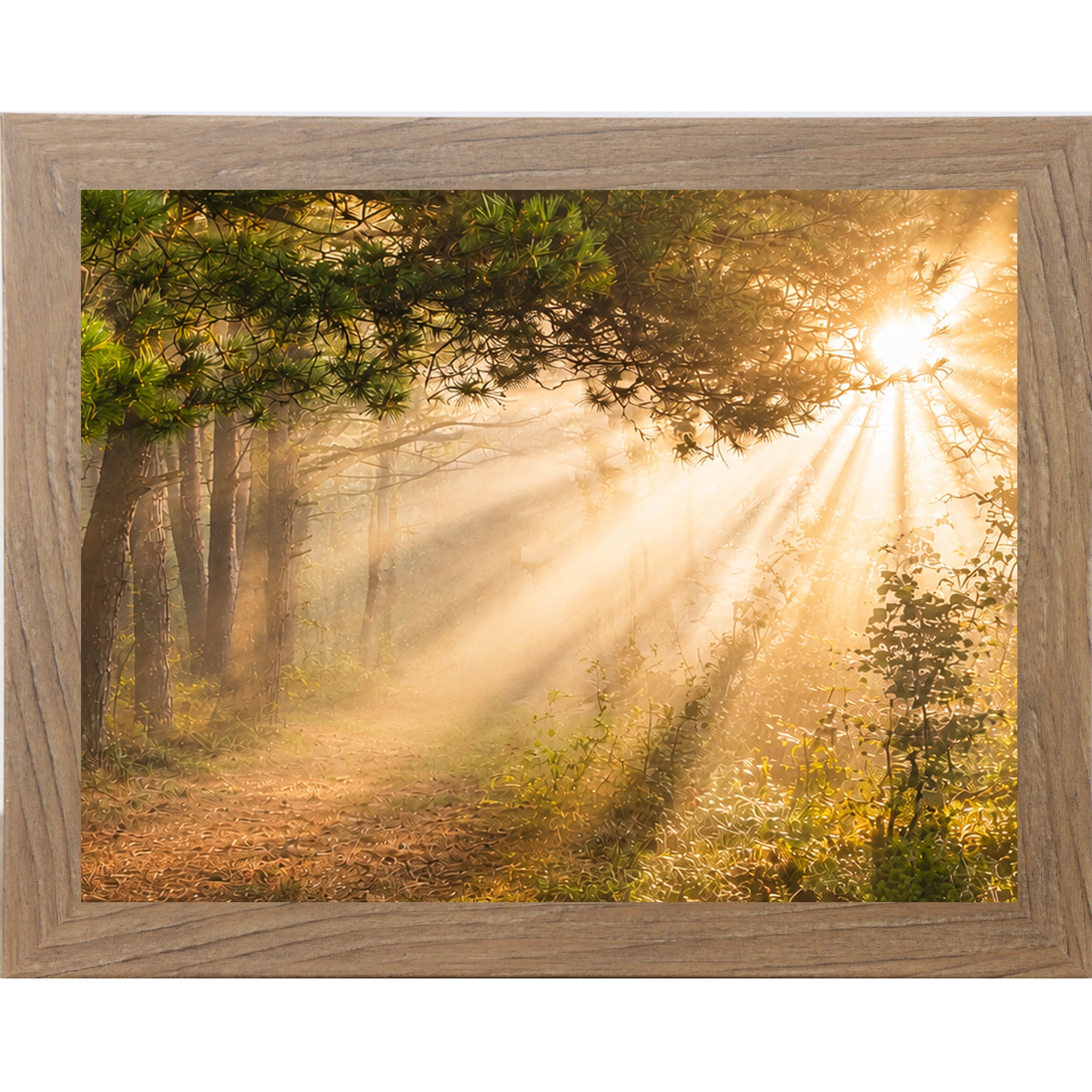 Farmtable framed horizontal nature wall art featuring dramatic golden sunlight rays bursting through misty pine tree canopy over a quiet forest path in warm sacred morning light
