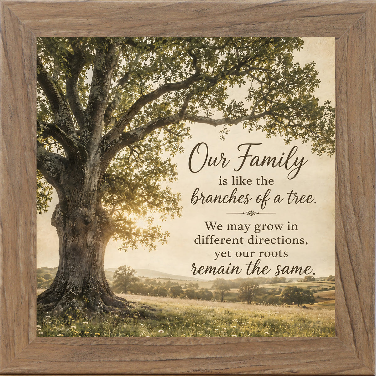 Farmtable framed square family quote wall art featuring a majestic oak tree in golden light with the words "Our Family Is Like The Branches Of A Tree"