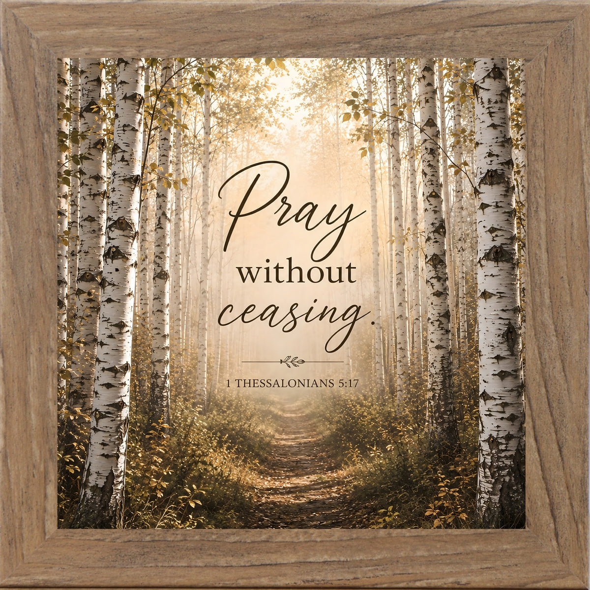 Farmtable framed square Christian wall art featuring a sunlit birch forest path with the words "Pray Without Ceasing" 1 Thessalonians 5:17