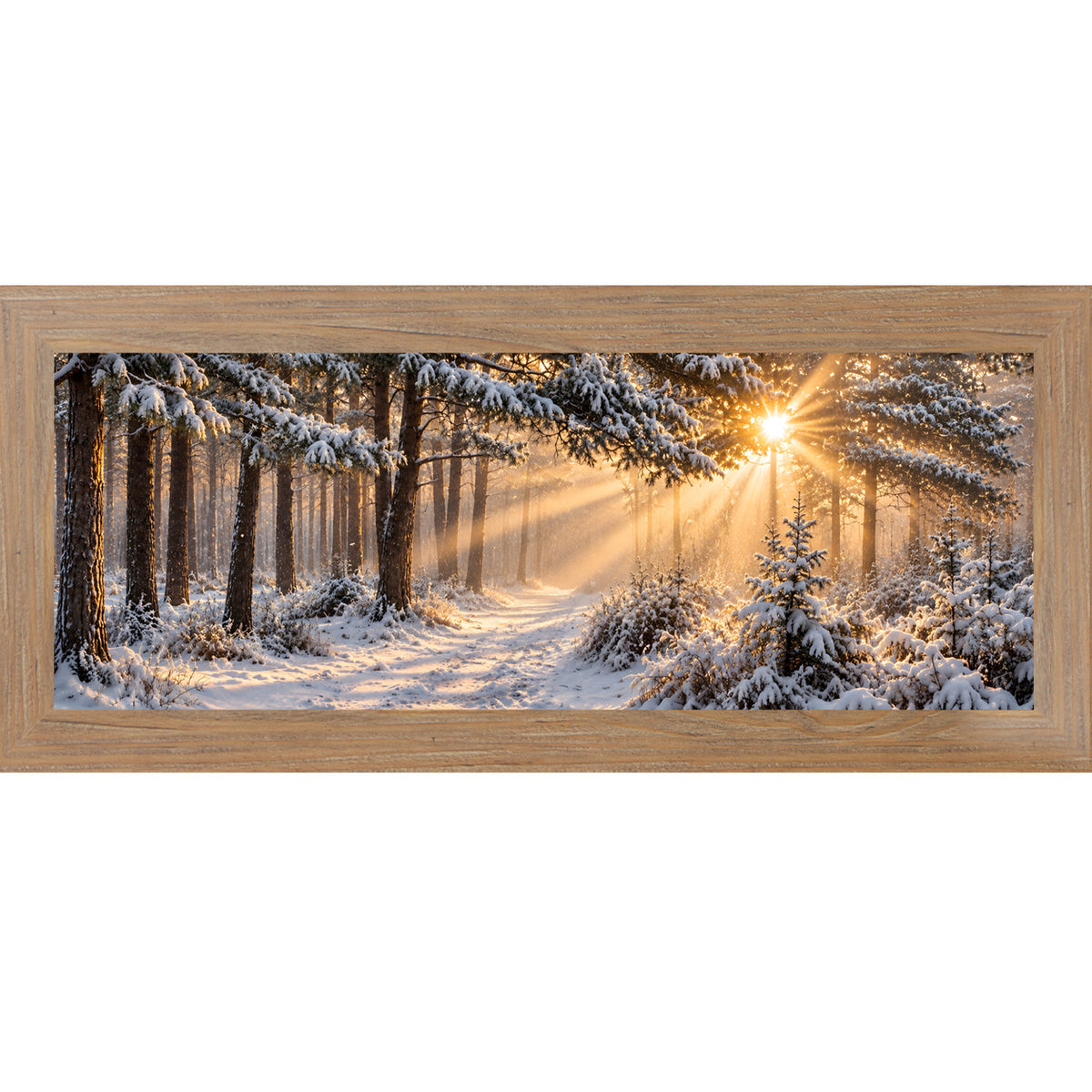 Farmtable framed wide panoramic winter wall art featuring sunrise light breaking through a snow-covered pine forest