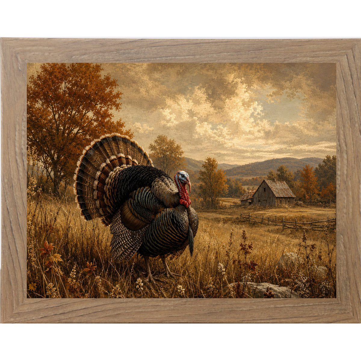 Farmtable framed landscape vintage sporting wall art featuring a wild turkey in full fan display standing in a golden autumn field with a barn in the distance