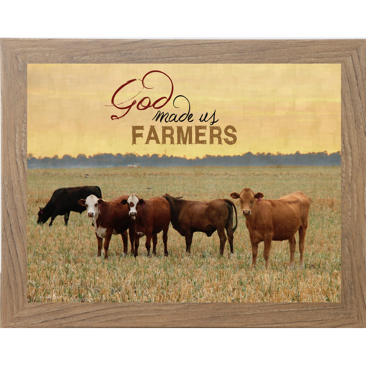 Farmtable framed horizontal farmhouse landscape wall art with cattle grazing in a golden field at sunset with the words "God Made Us Farmers"
