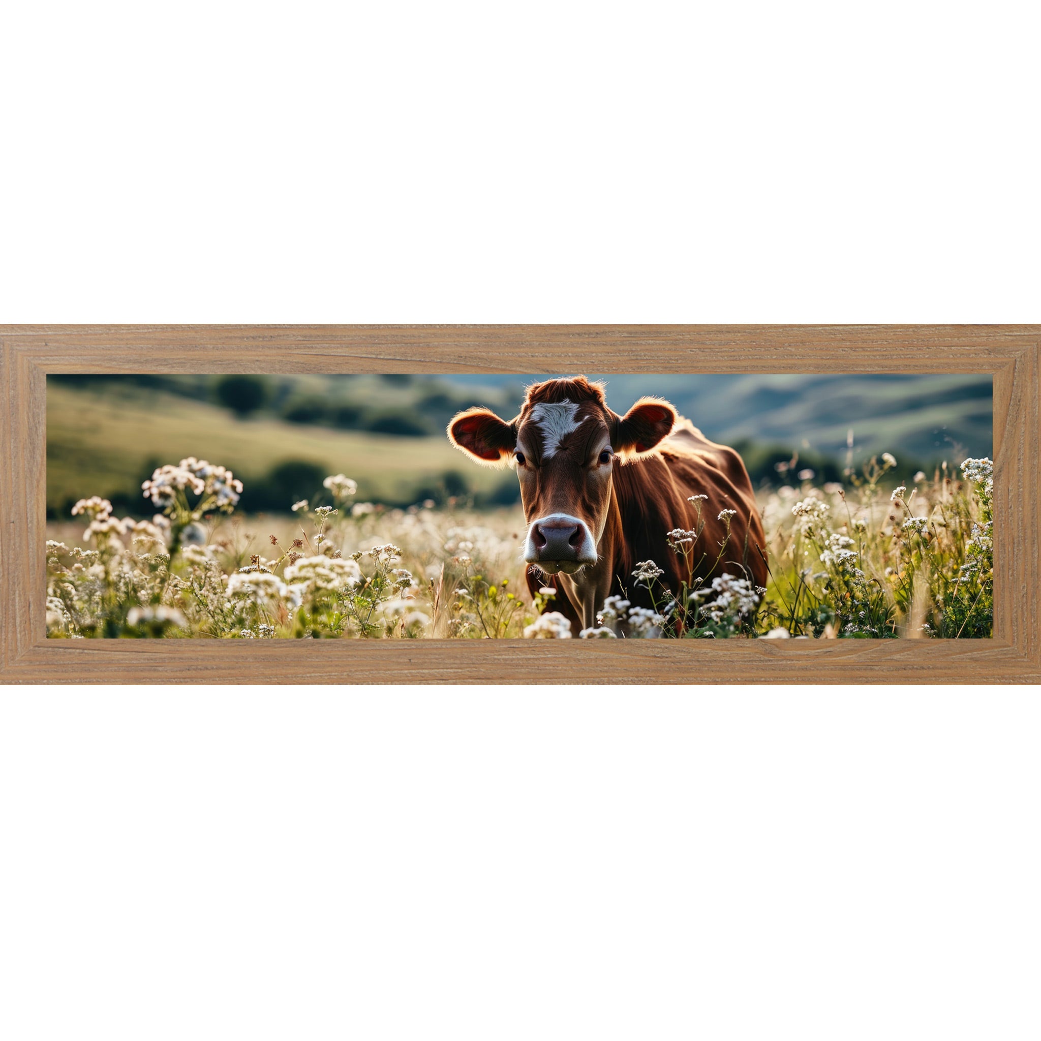 Farmtable framed wide panoramic farmhouse wall art featuring a Jersey cow surrounded by white wildflowers in a sunny meadow with rolling green hills in the background