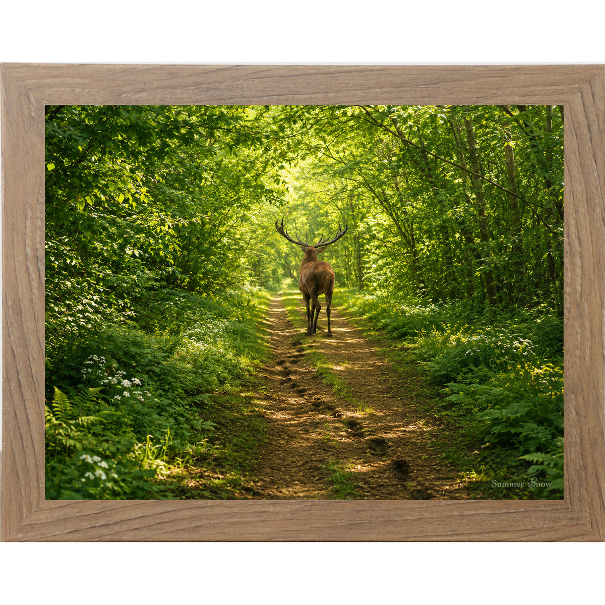 Farmtable framed horizontal nature wall art featuring a deer walking away down a lush summer forest path with full green cathedral canopy dappled golden light and ferns