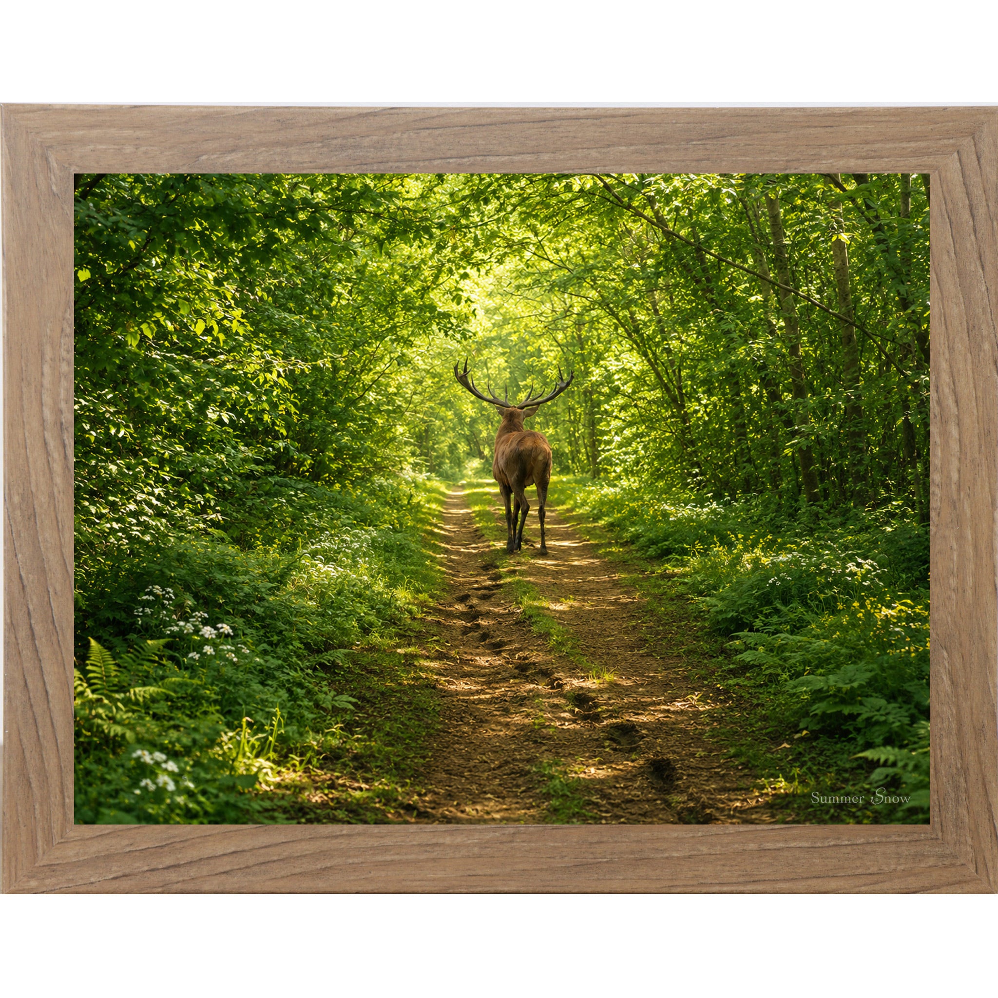 Farmtable framed horizontal nature wall art featuring a deer walking away down a lush summer forest path with full green cathedral canopy dappled golden light and ferns