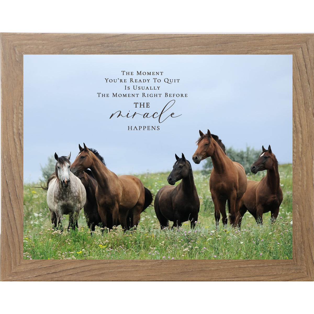 Farmtable framed landscape inspirational horse wall art with five horses standing alert in a wildflower meadow with blue sky and the quote The Moment You're Ready to Quit Is Usually the Moment Right Before the Miracle Happens
