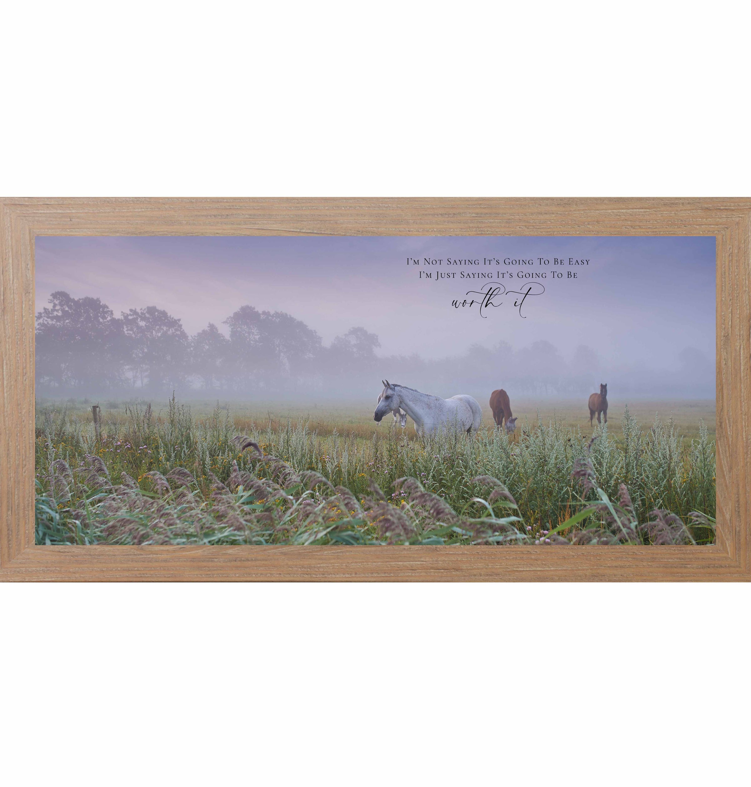 It’s Going To Be Worth It – Panoramic Horse Meadow Wall Art | SB743
