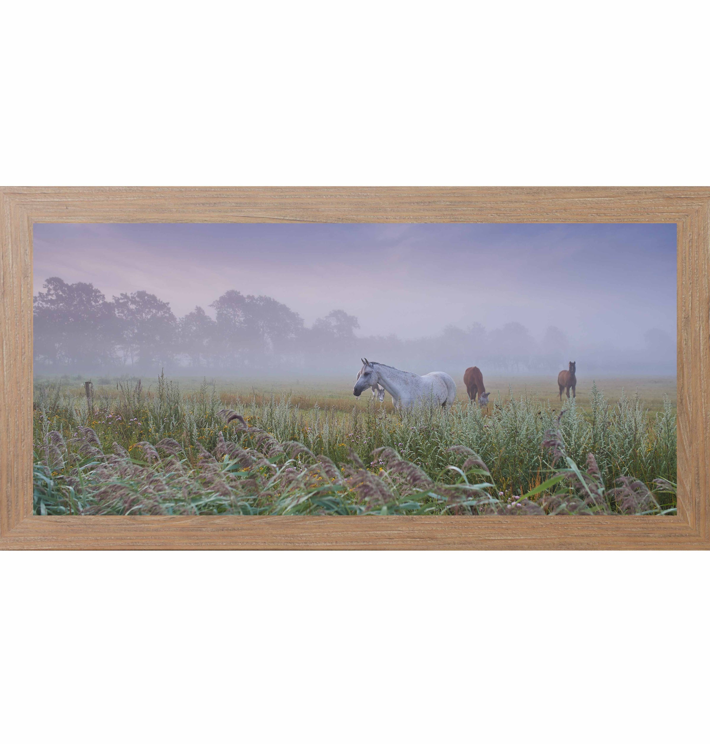 Misty Field With Horses – Panoramic Meadow Wall Art (SB742) - Summer Snow Art