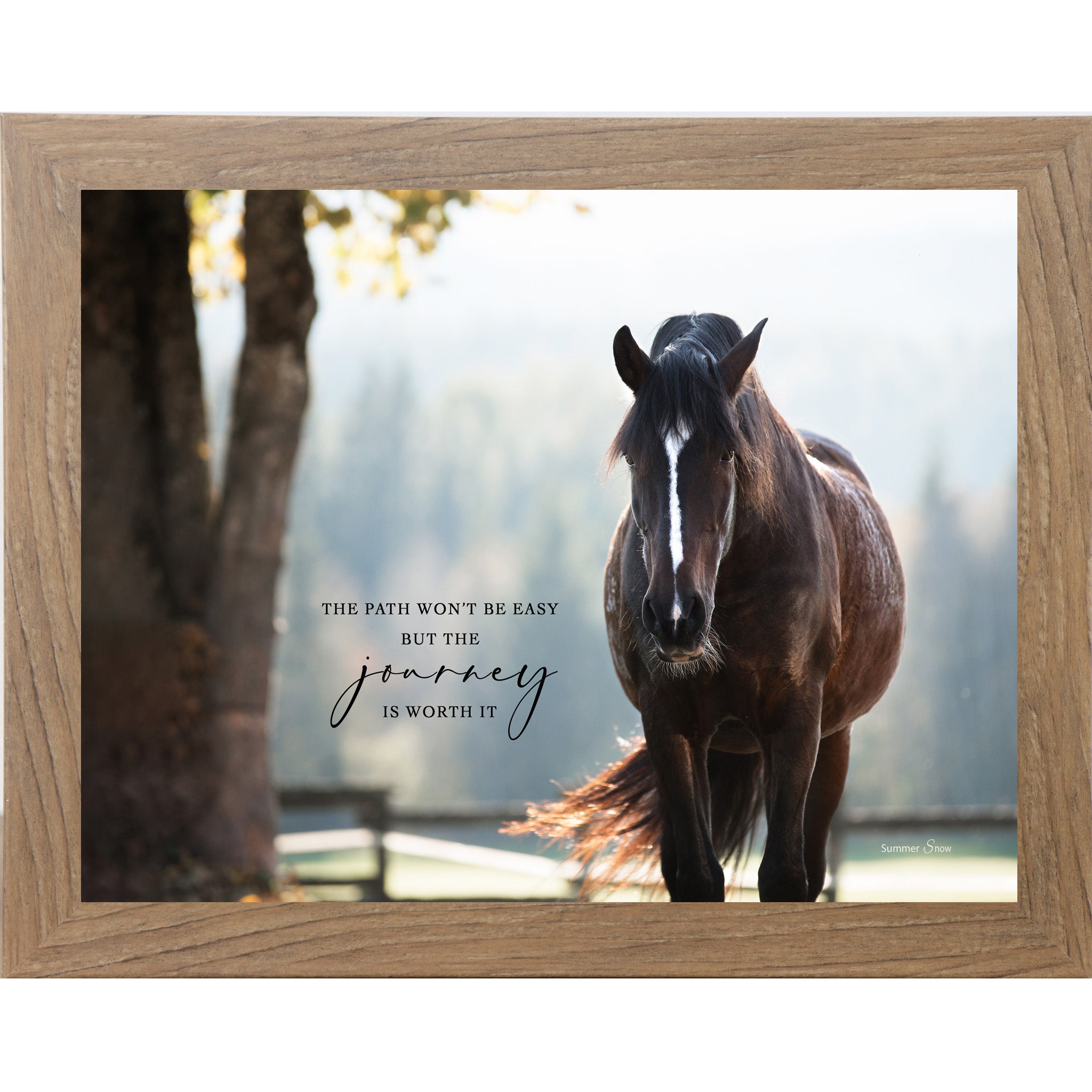 Farmtable framed landscape equine wall art with realistic dark bay horse in dappled sunlight with the quote "The Path Won't Be Easy But the Journey Is Worth It"