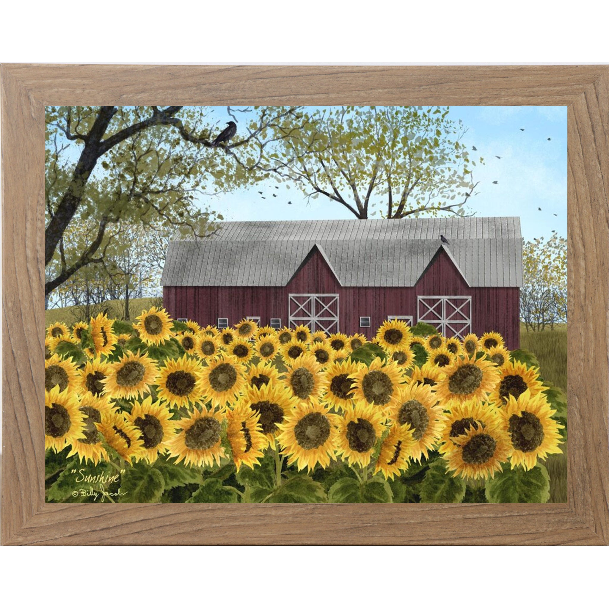 Farmtable framed Billy Jacobs Sunshine wall art featuring a sweeping field of golden sunflowers in full bloom before a classic red barn with white cross doors bare tree branches with a crow and pale blue sky