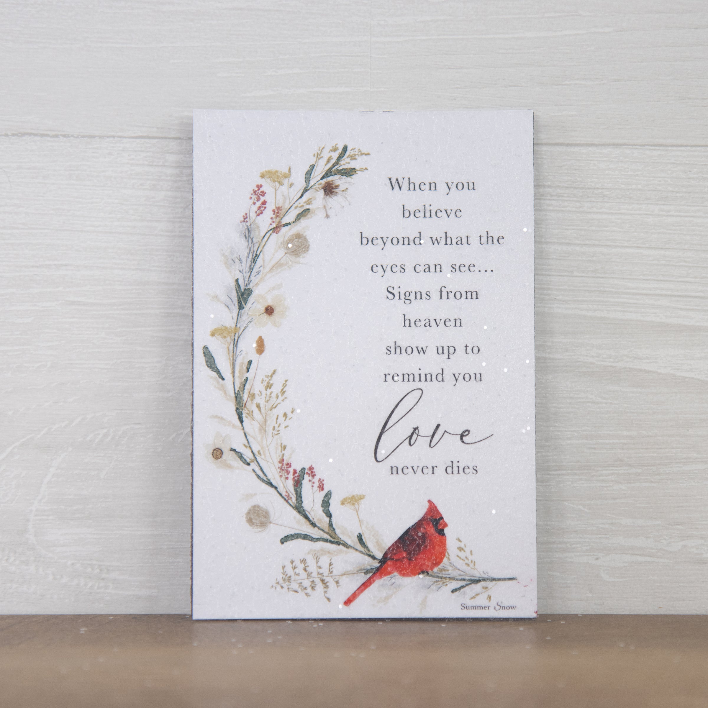 When You Believe” Magnet SN14M