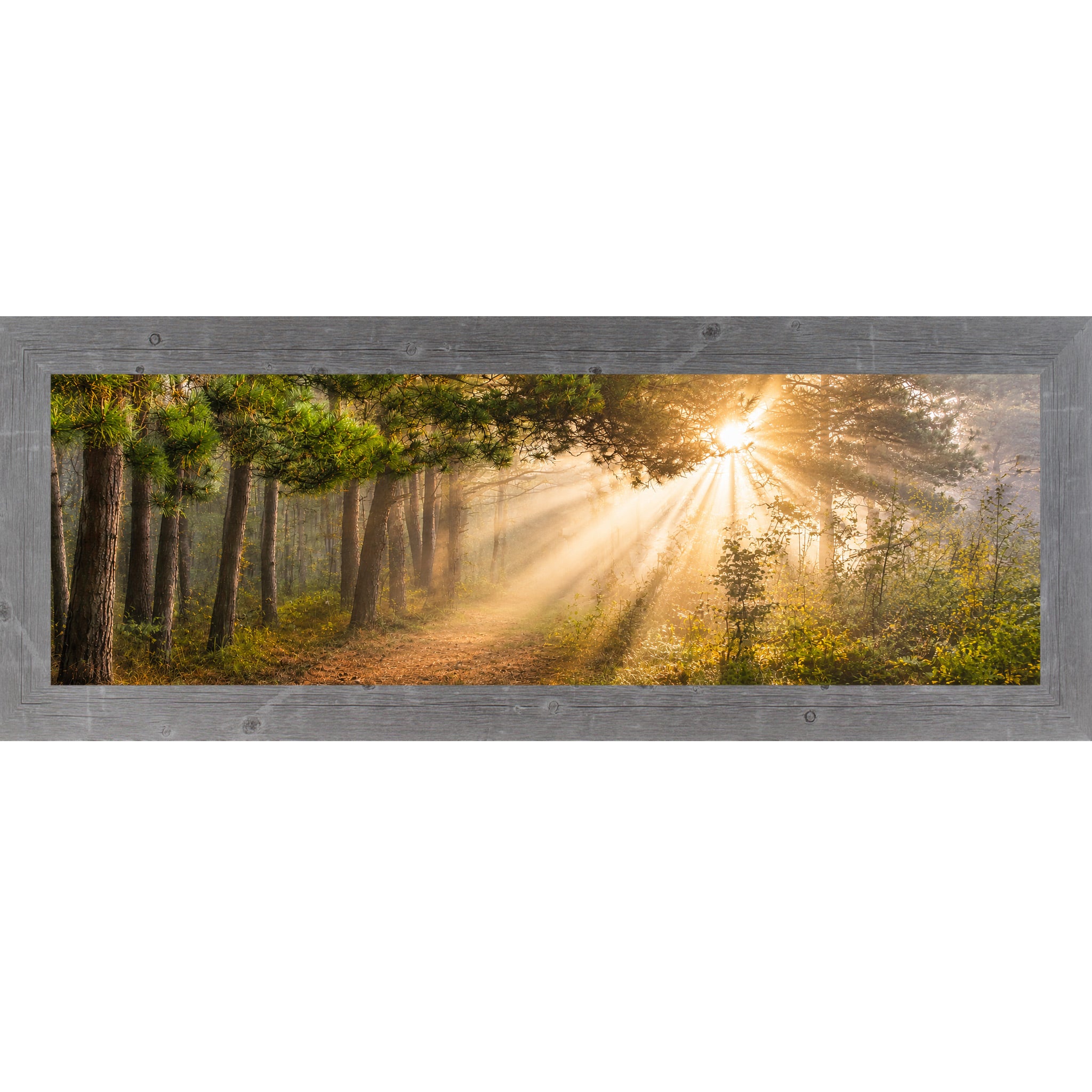 Gray framed wide panoramic nature wall art featuring dramatic golden sunlight rays bursting through misty pine tree canopy across a forest path in warm sacred morning light